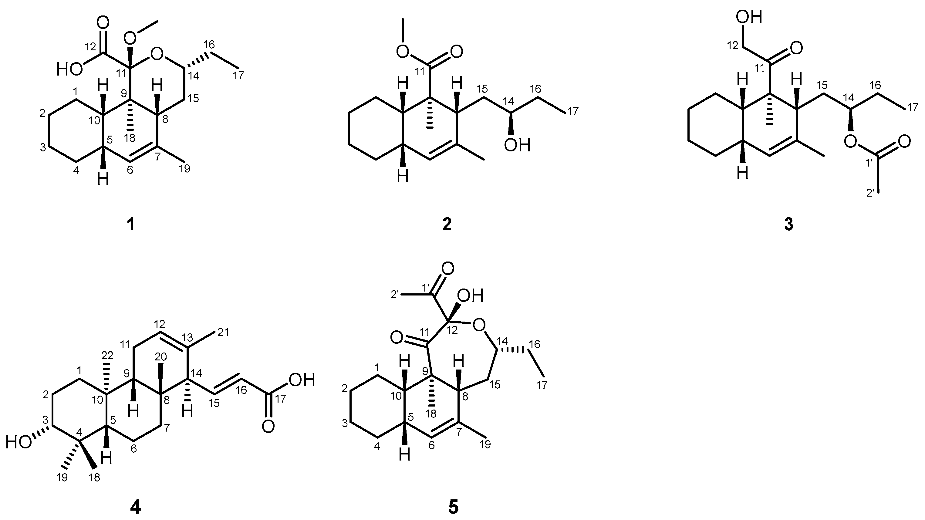 Microorganisms 12 02031 g003