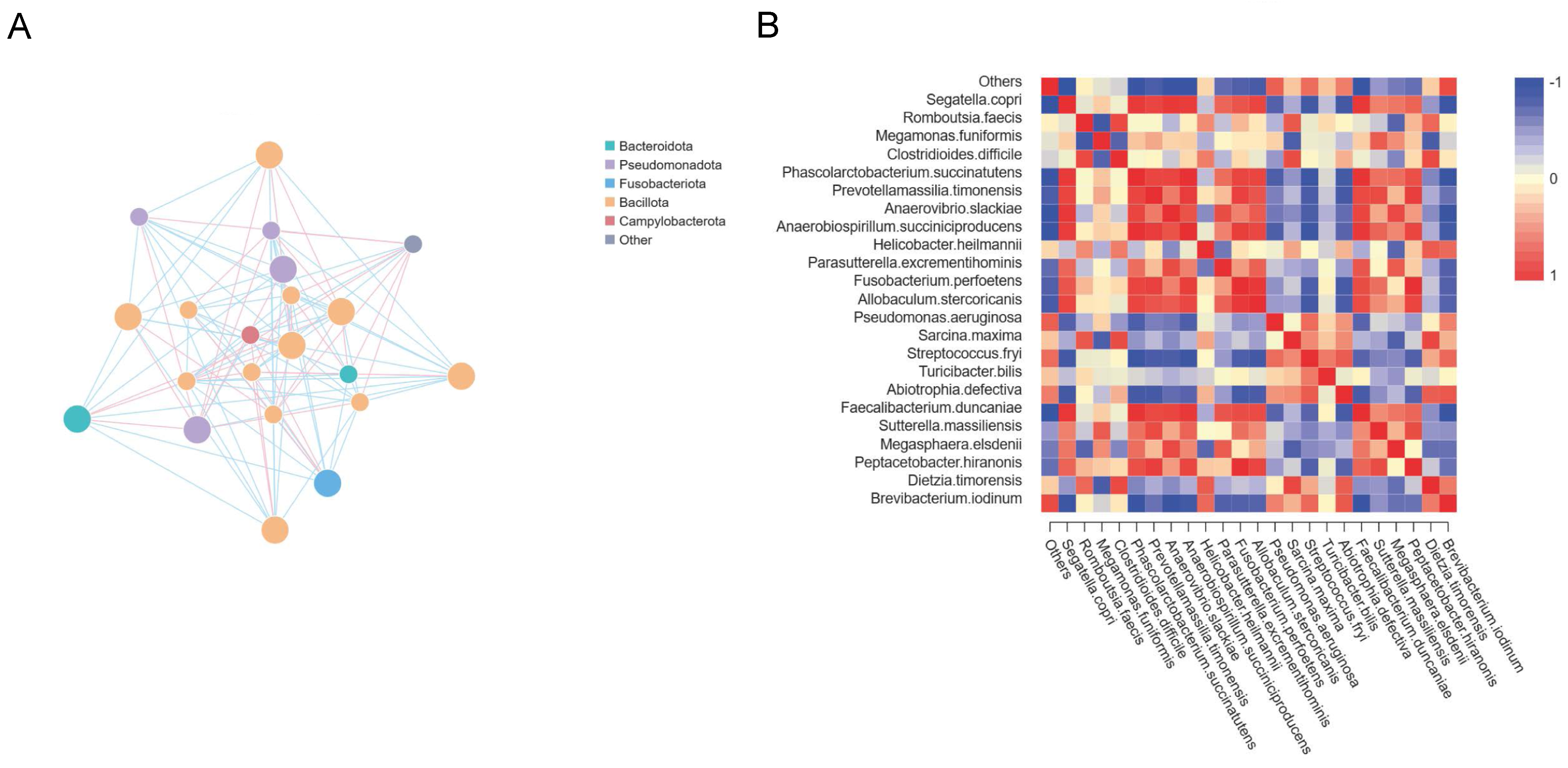 Microorganisms 12 02037 g004 Microorganisms 12 02037 g004