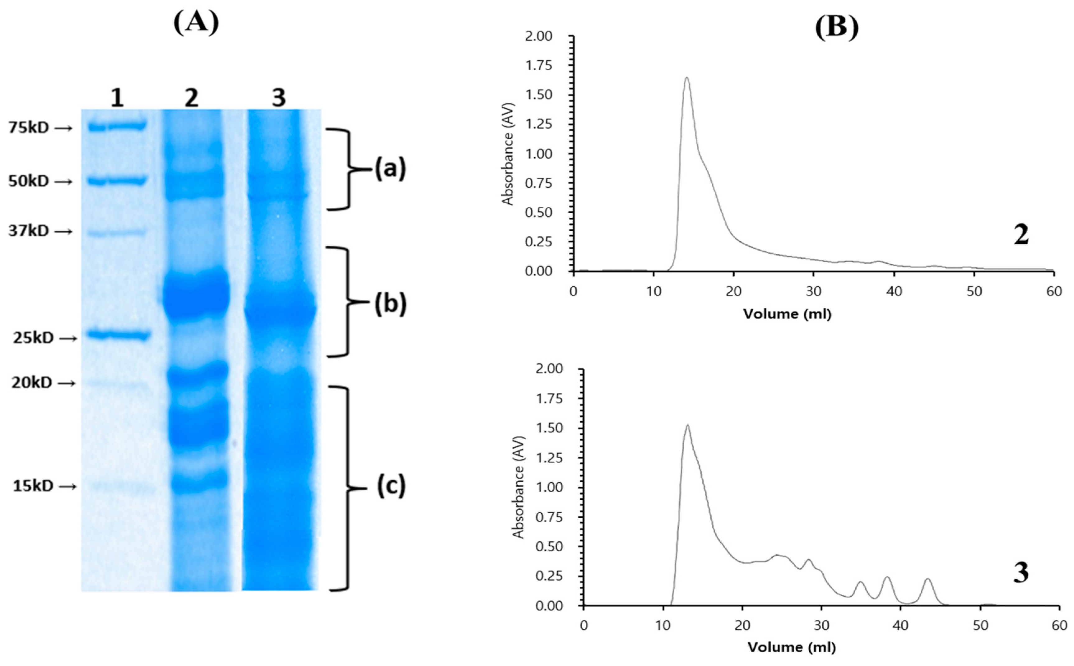 Microorganisms 12 02048 g003