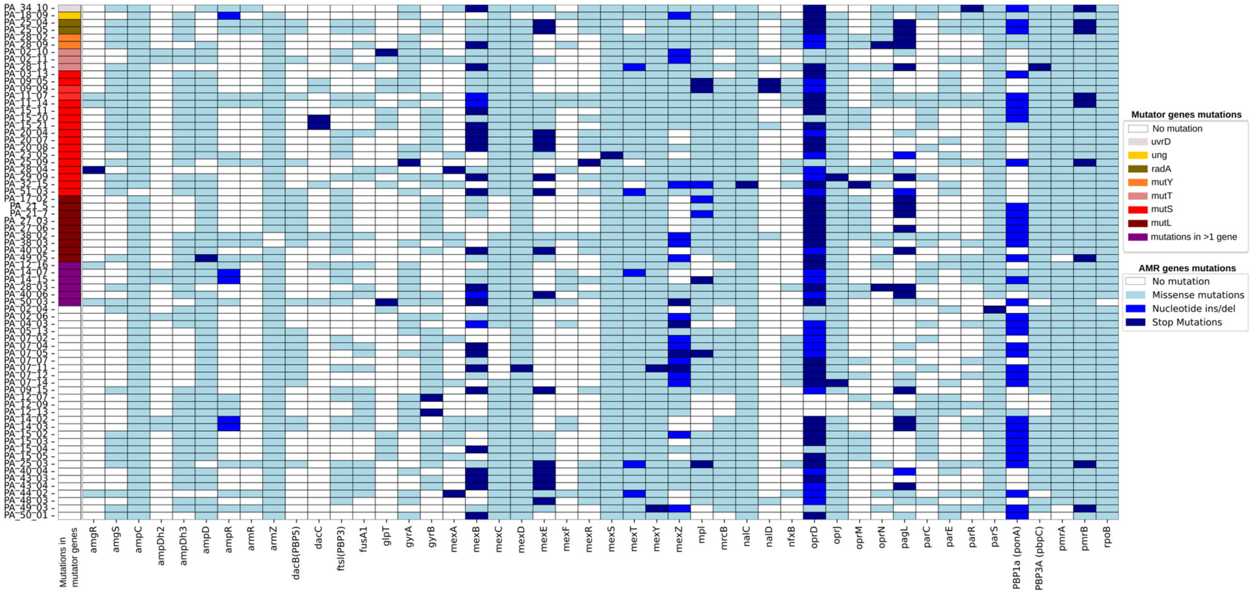 Microorganisms 12 02051 g001