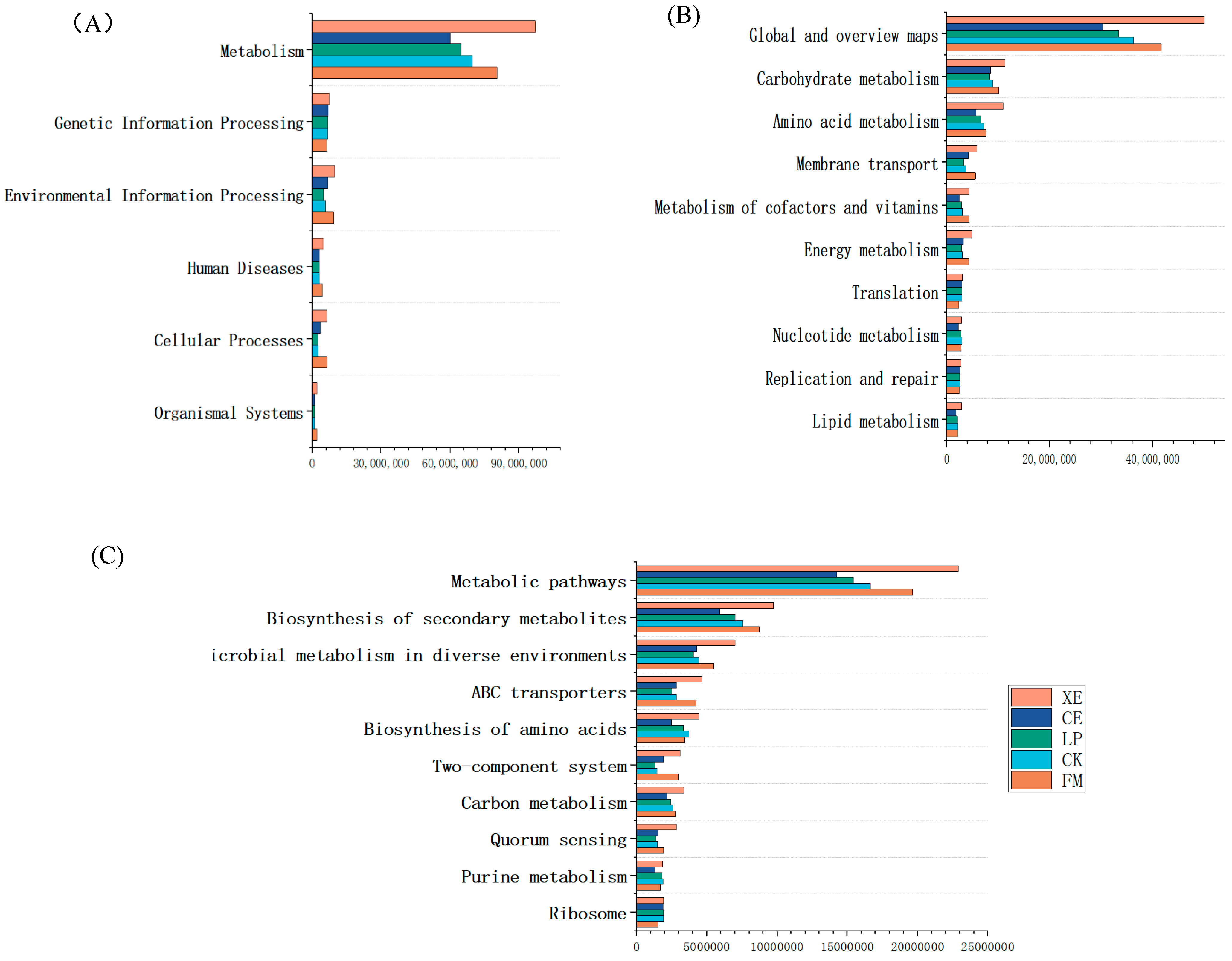 Microorganisms 12 02062 g005