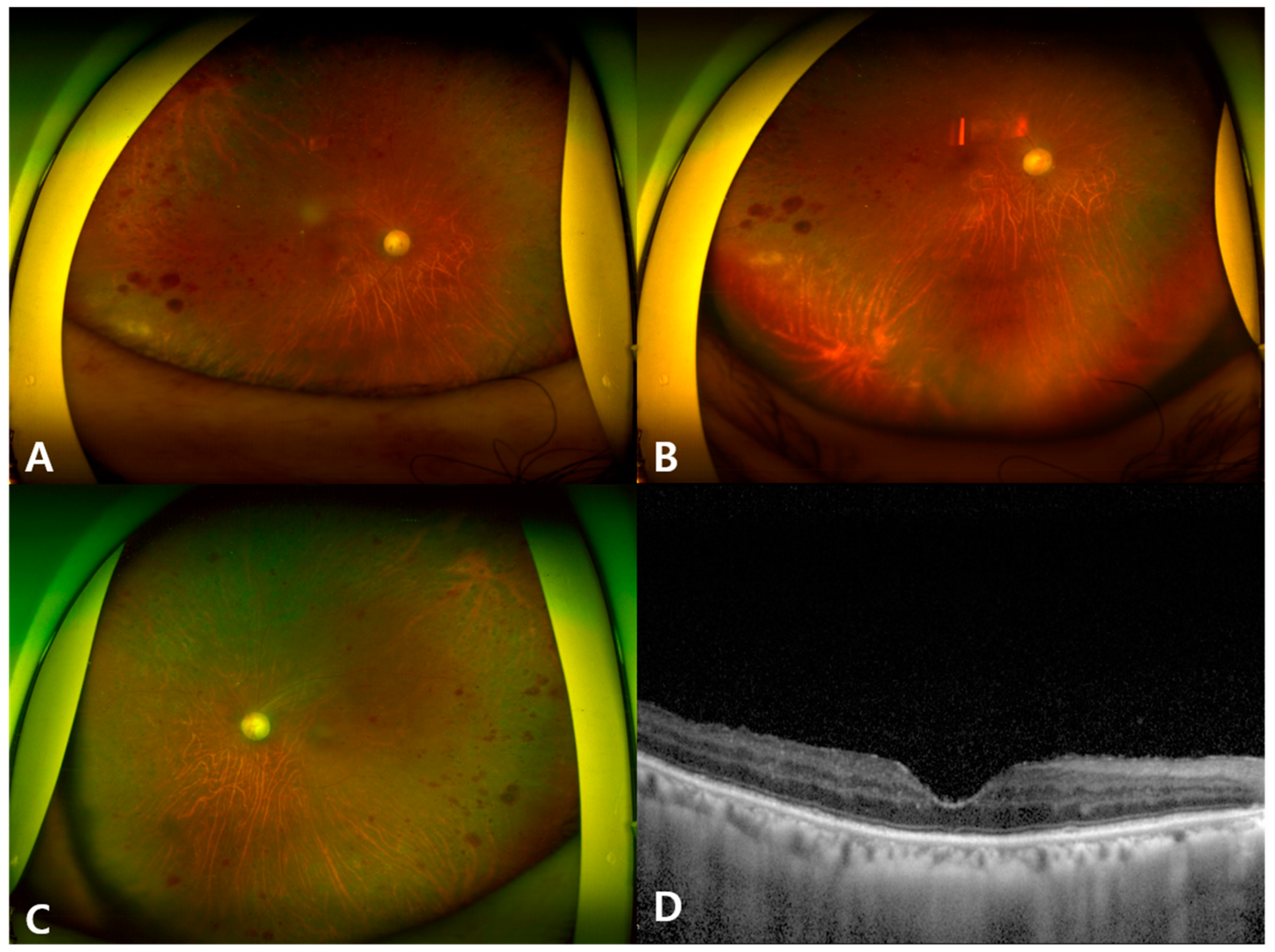 Microorganisms 12 02065 g003