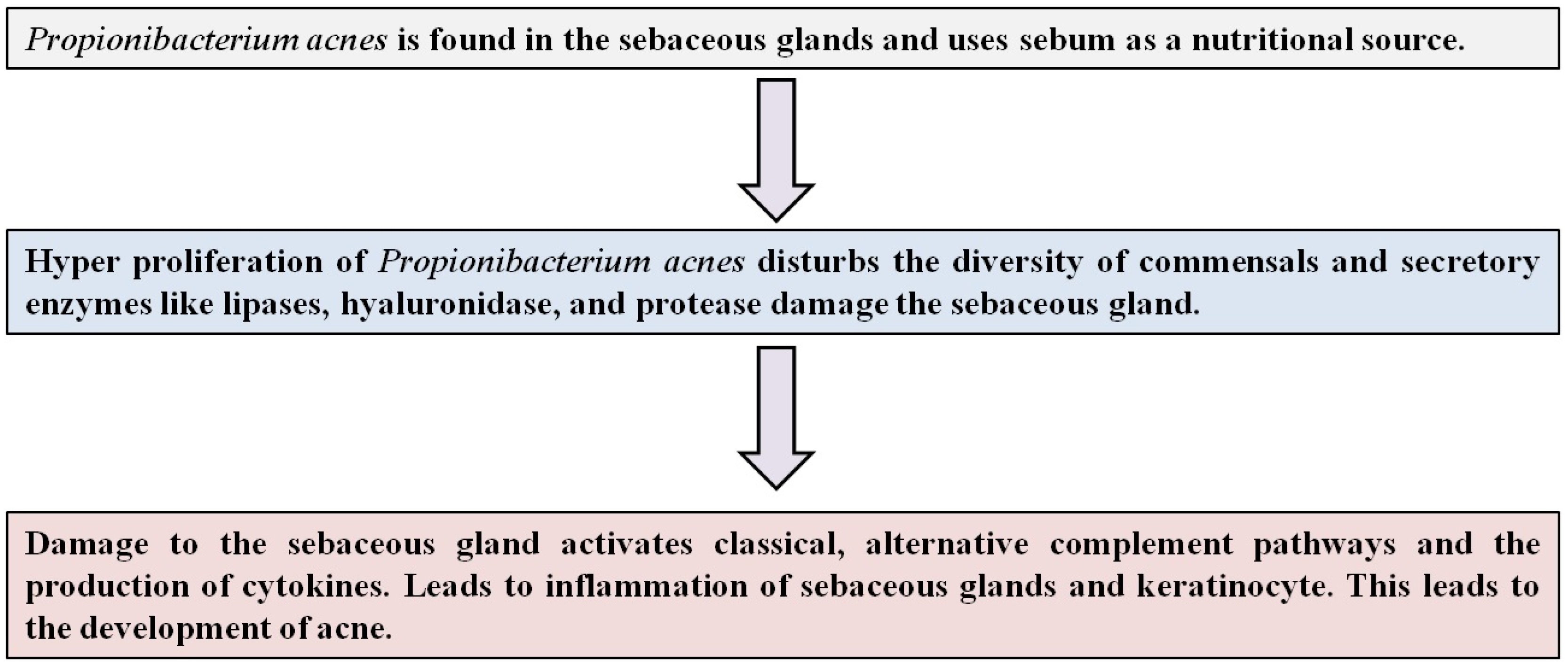 Microorganisms 12 02070 g002