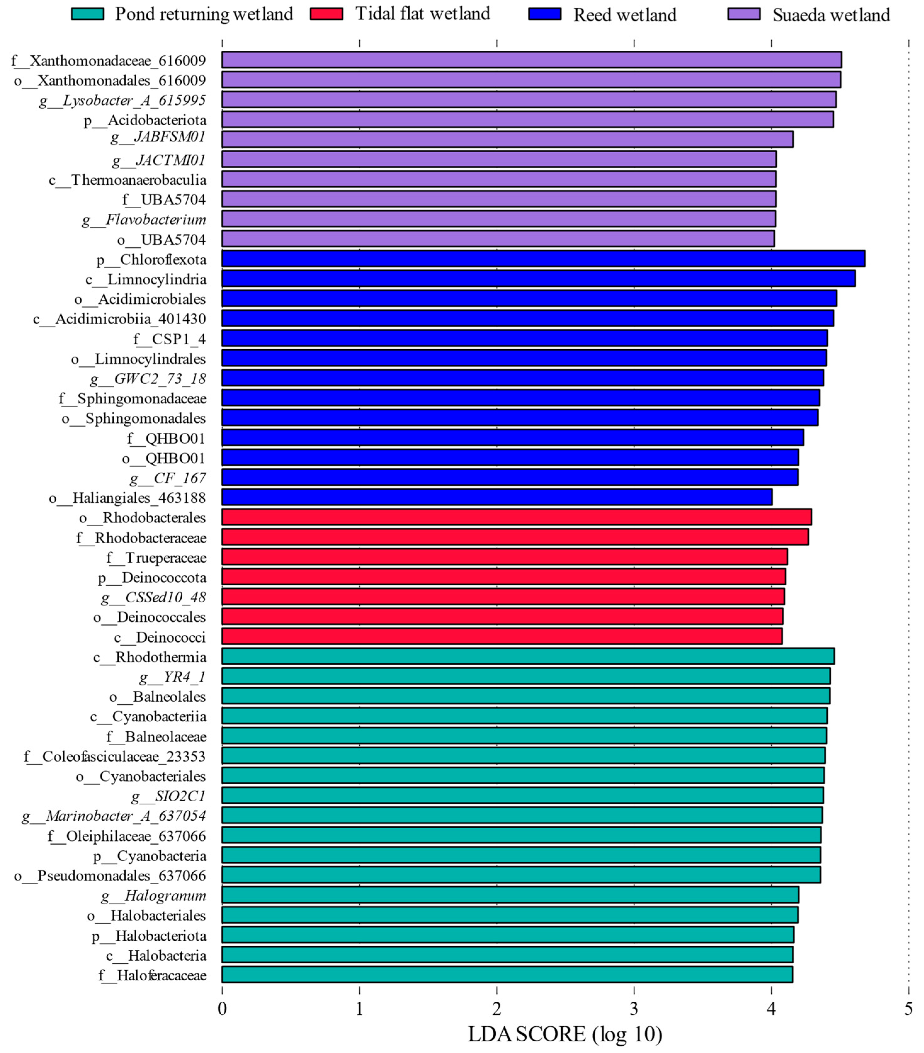 Microorganisms 12 02075 g005