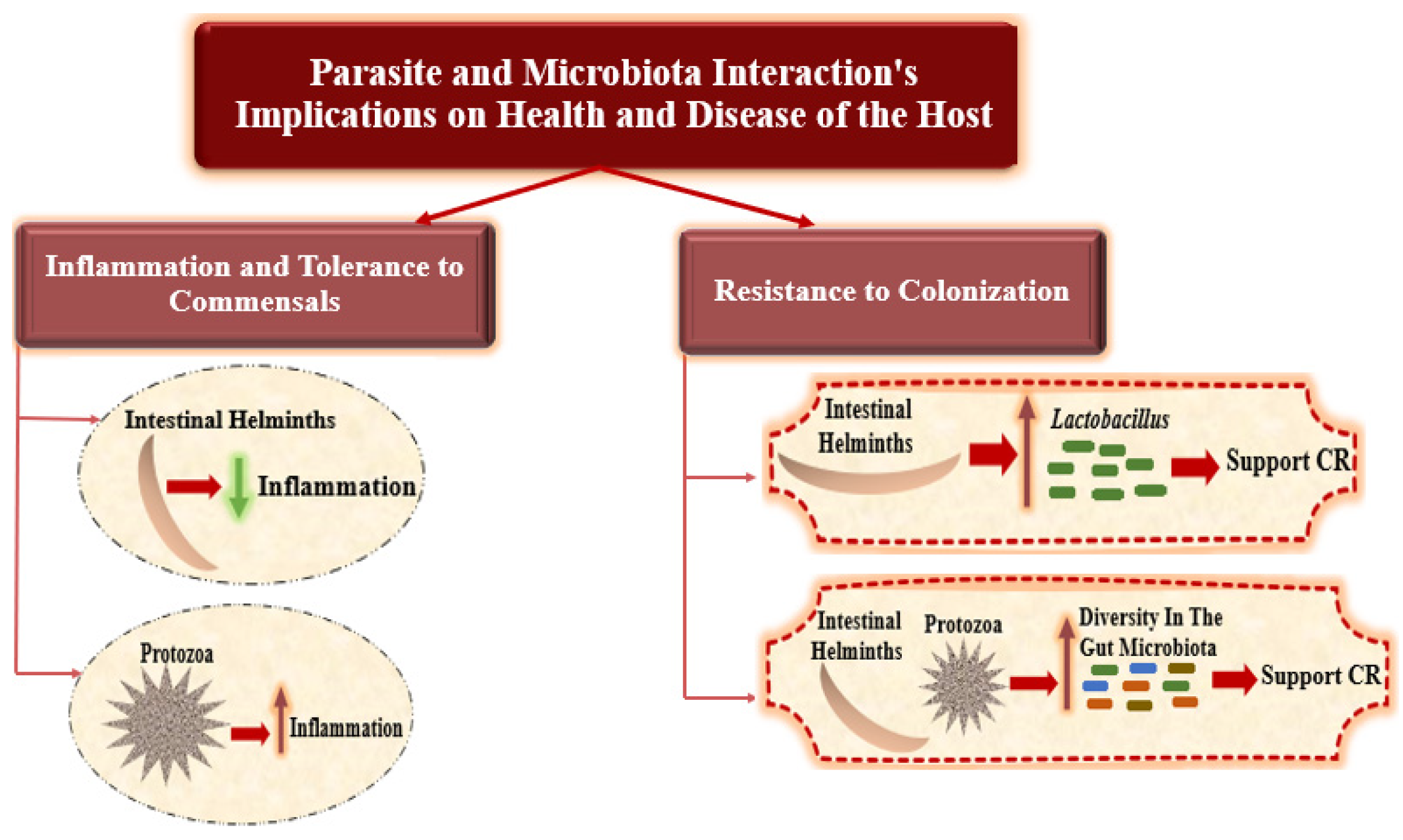 Microorganisms 12 02076 g003 Microorganisms 12 02076 g003