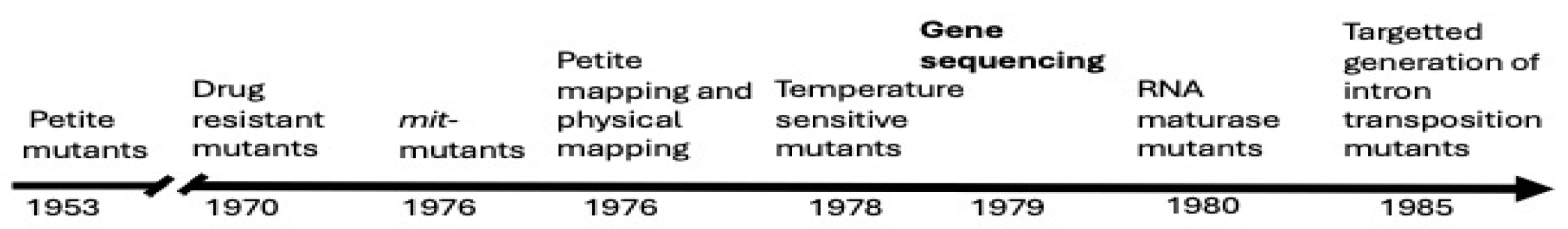 Microorganisms 12 02077 g001