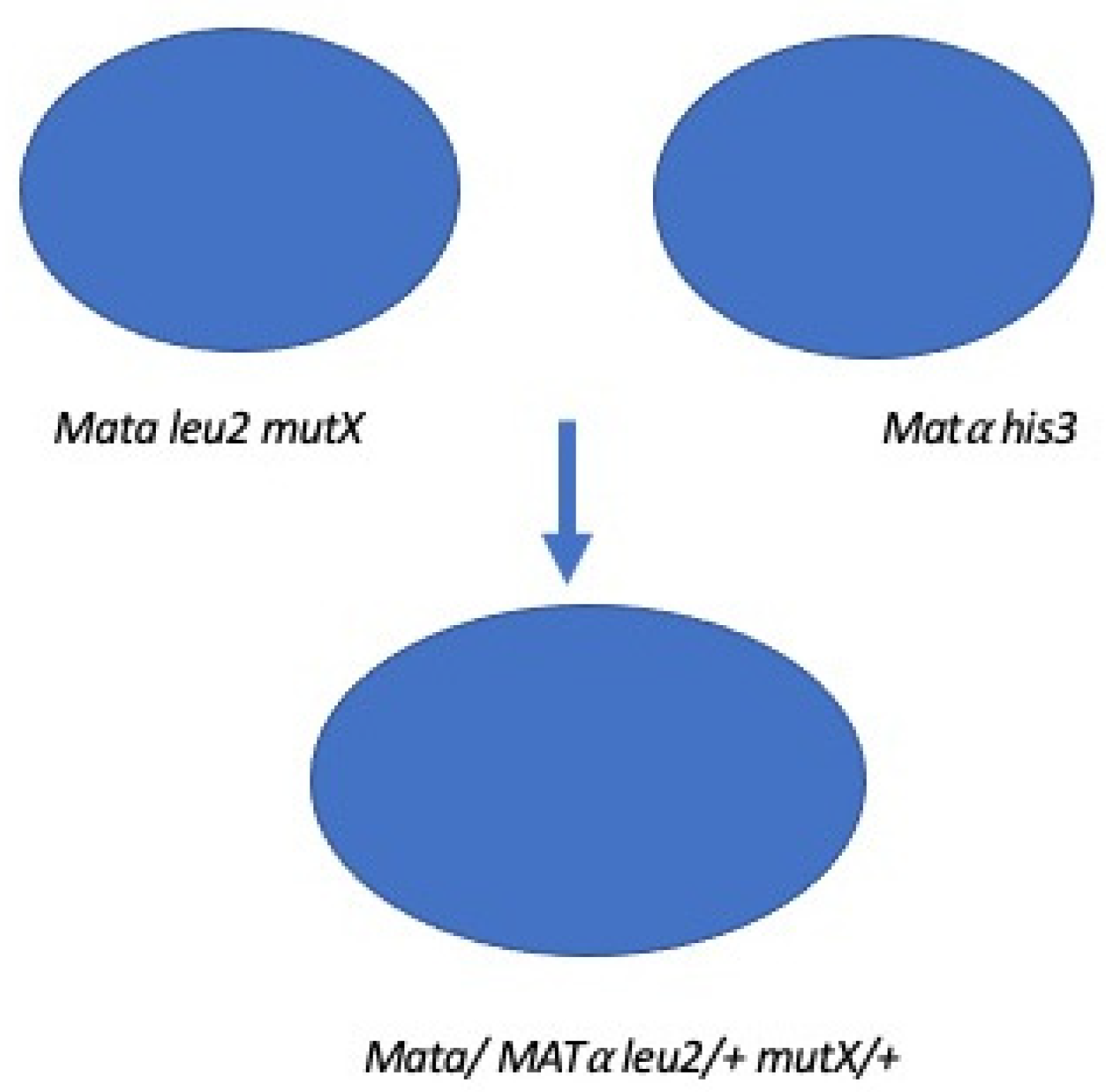 Microorganisms 12 02077 g002