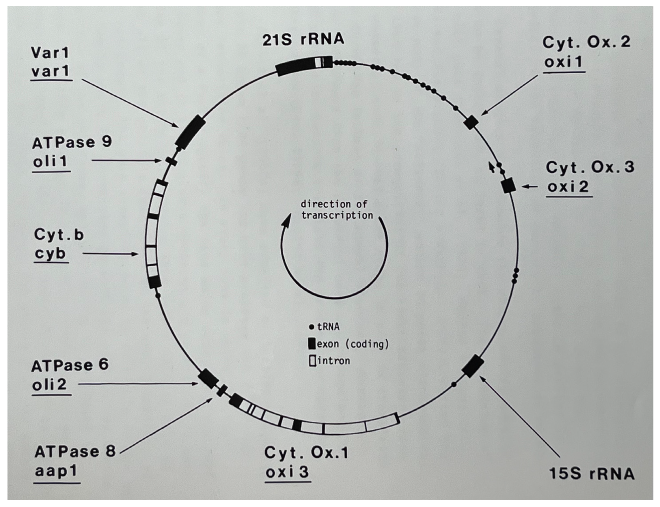 Microorganisms 12 02077 g003