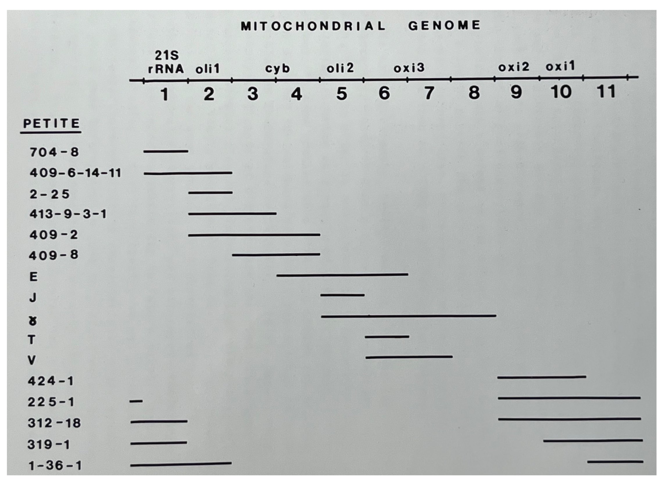 Microorganisms 12 02077 g004