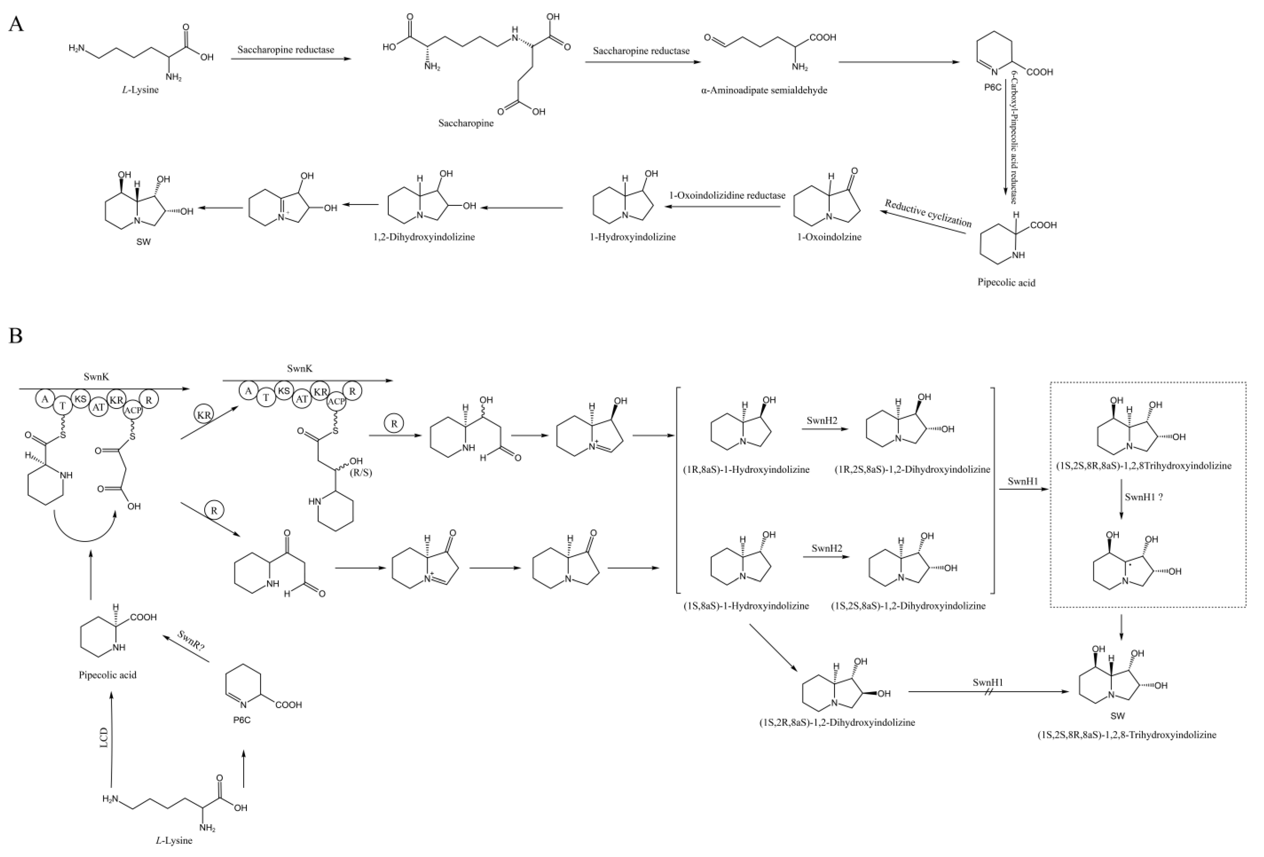 Microorganisms 12 02081 g001