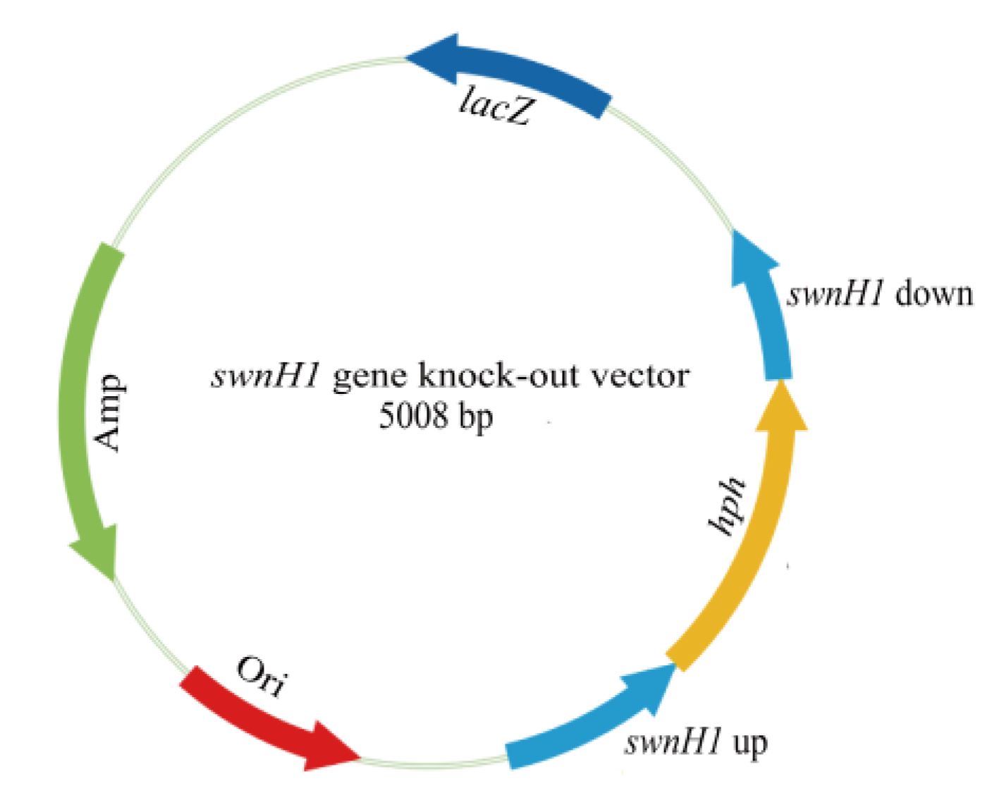 Microorganisms 12 02081 g002