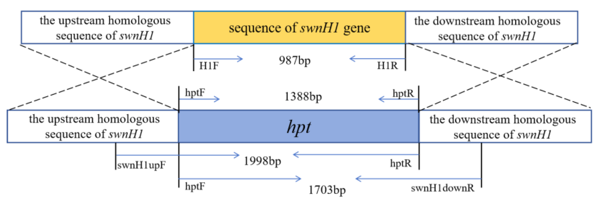 Microorganisms 12 02081 g003