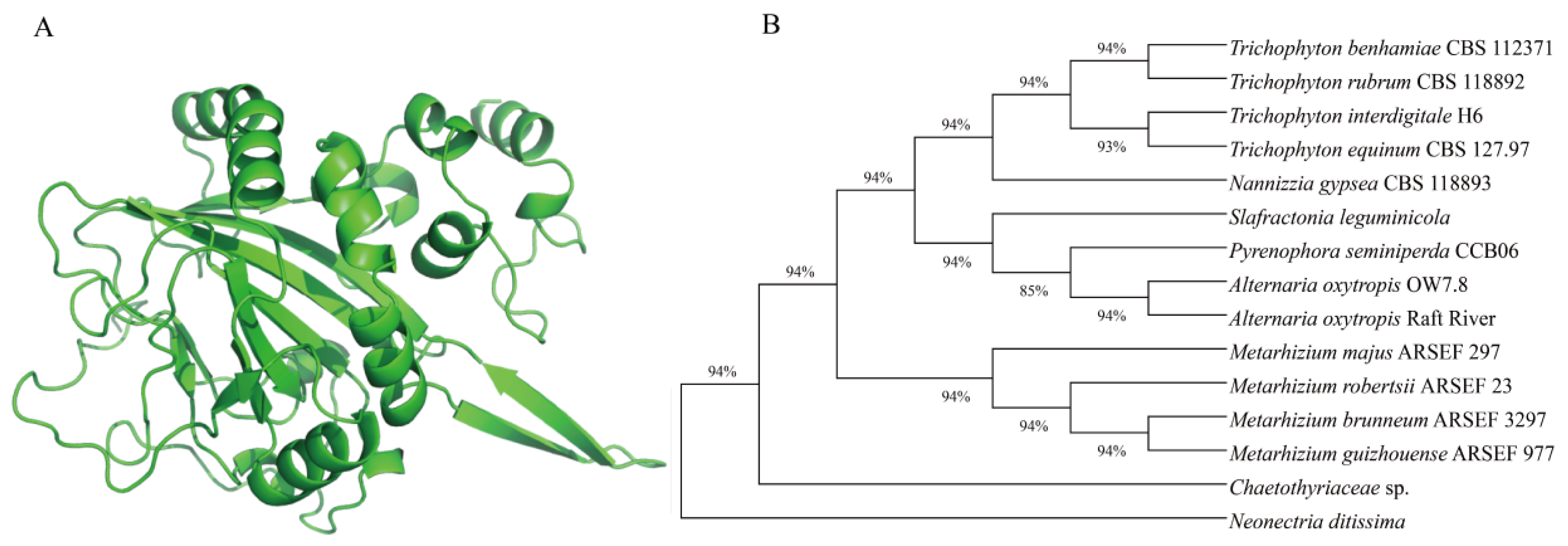 Microorganisms 12 02081 g004