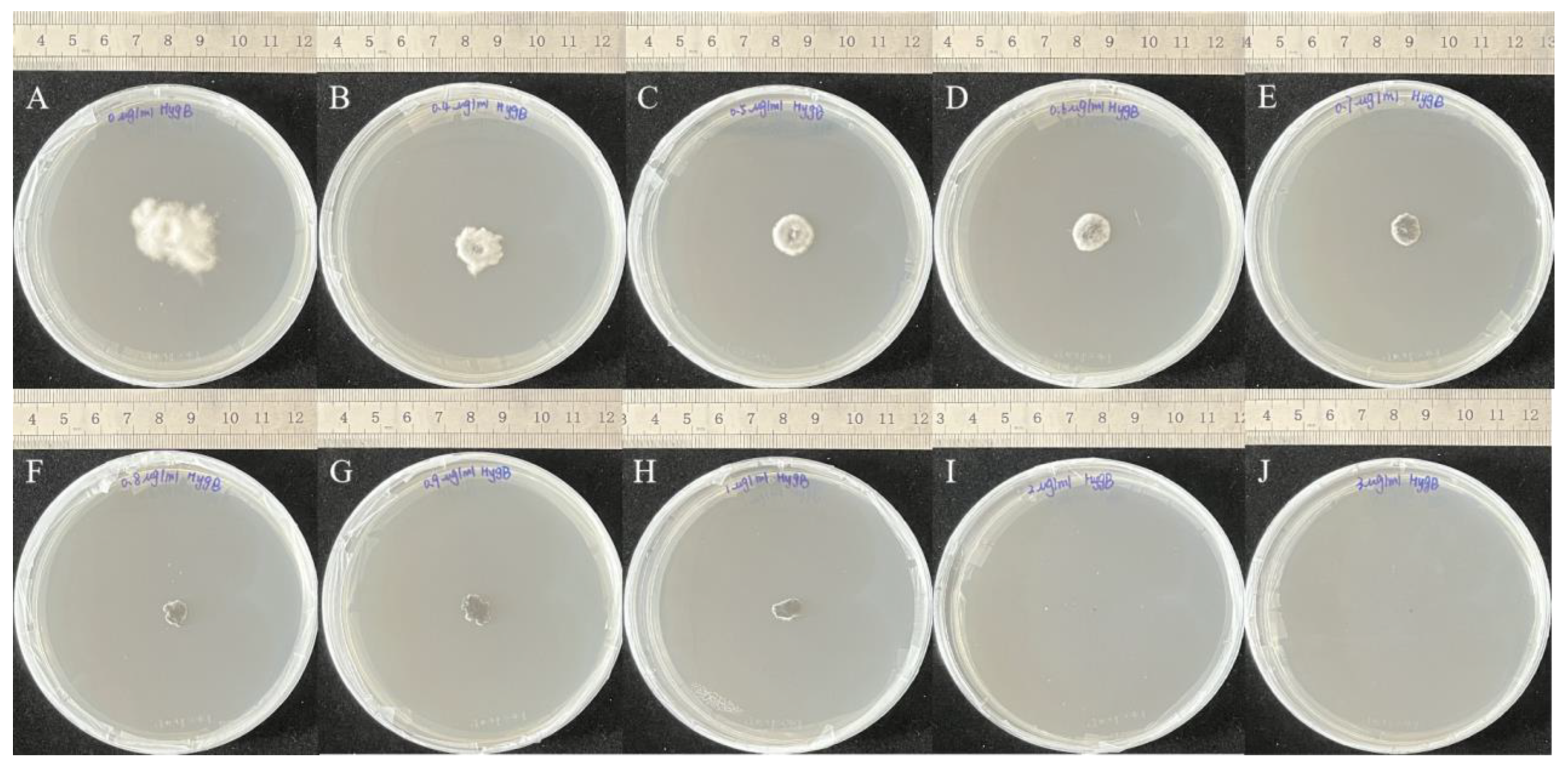 Microorganisms 12 02081 g005