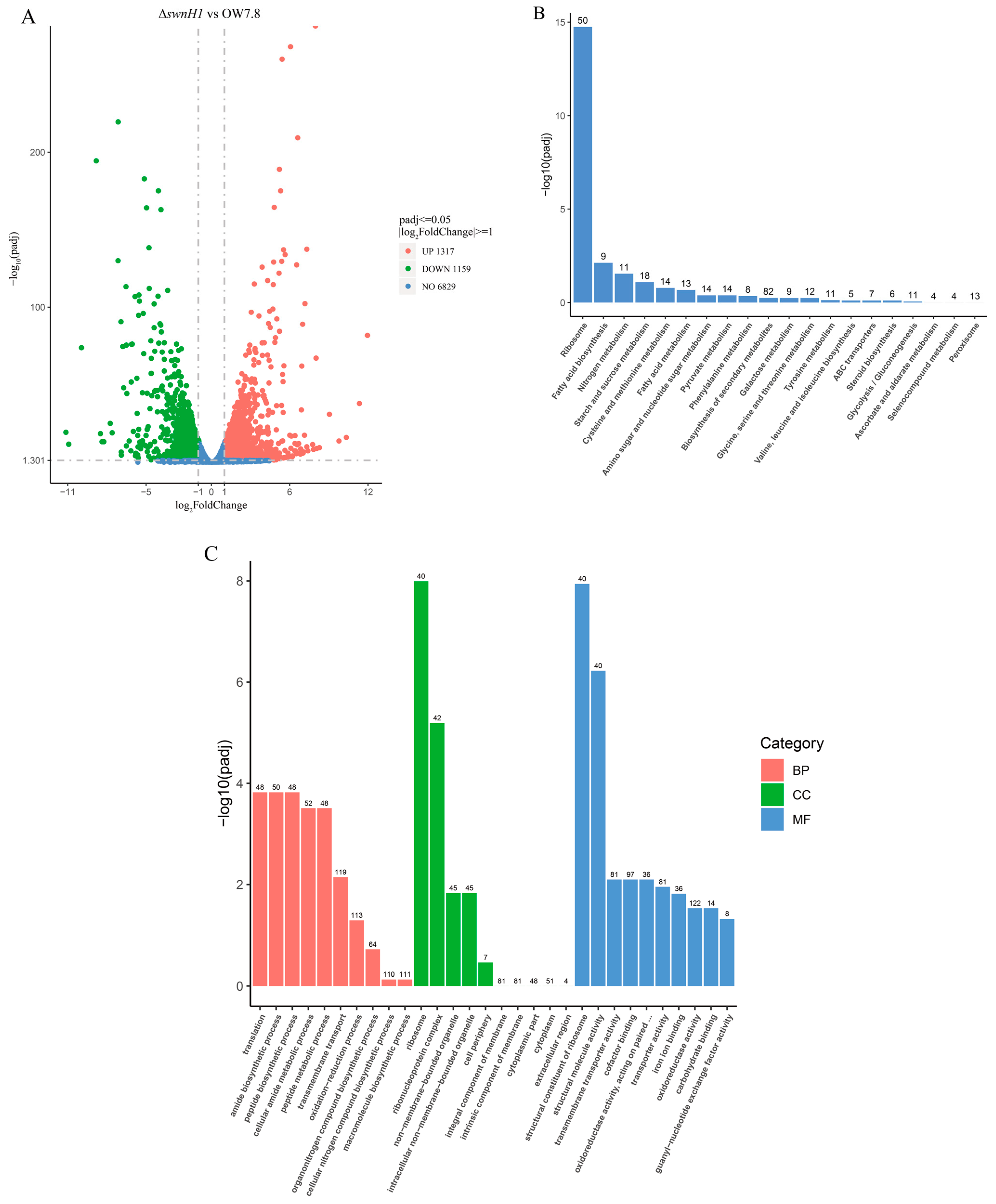 Microorganisms 12 02081 g009