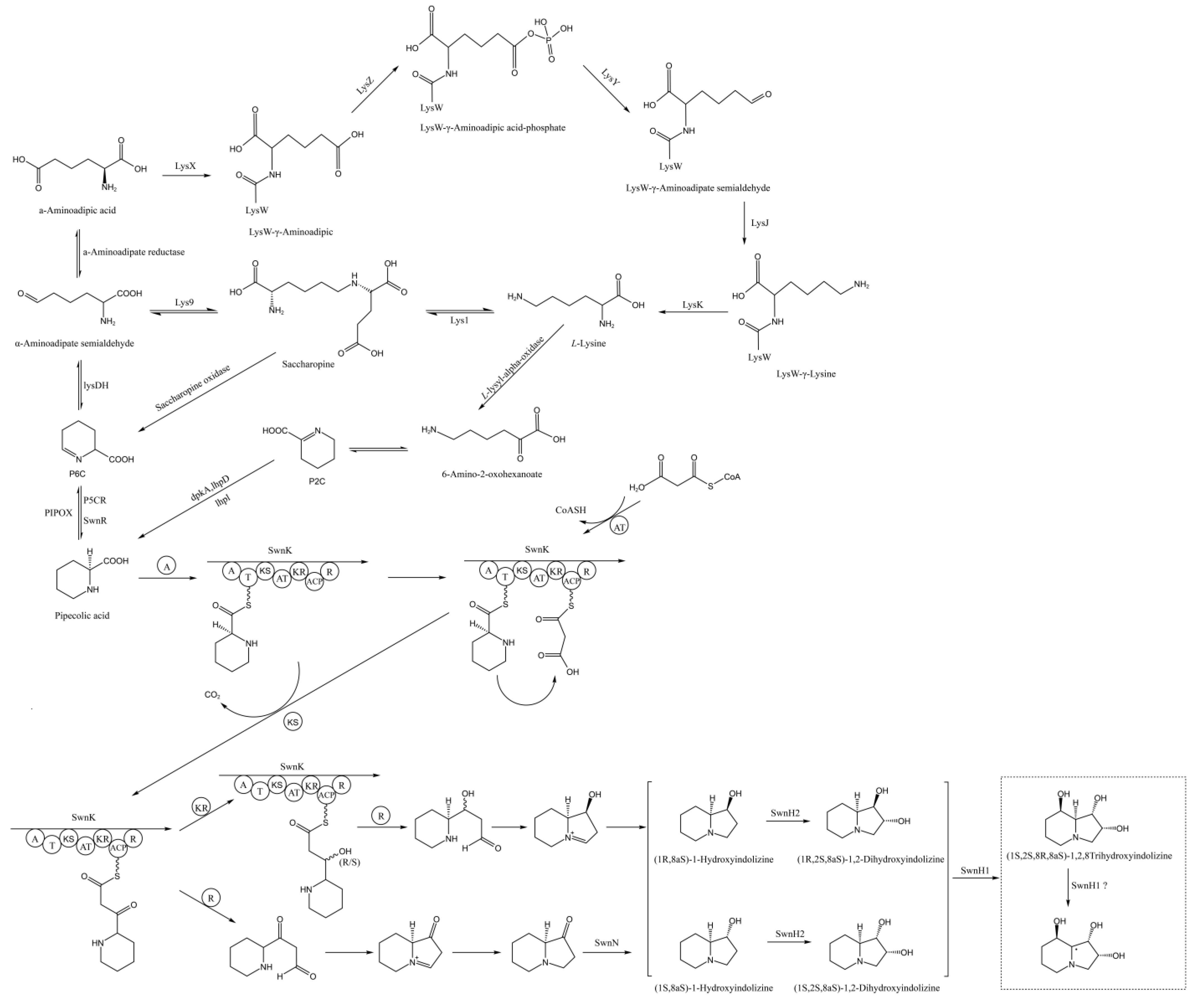 Microorganisms 12 02081 g011