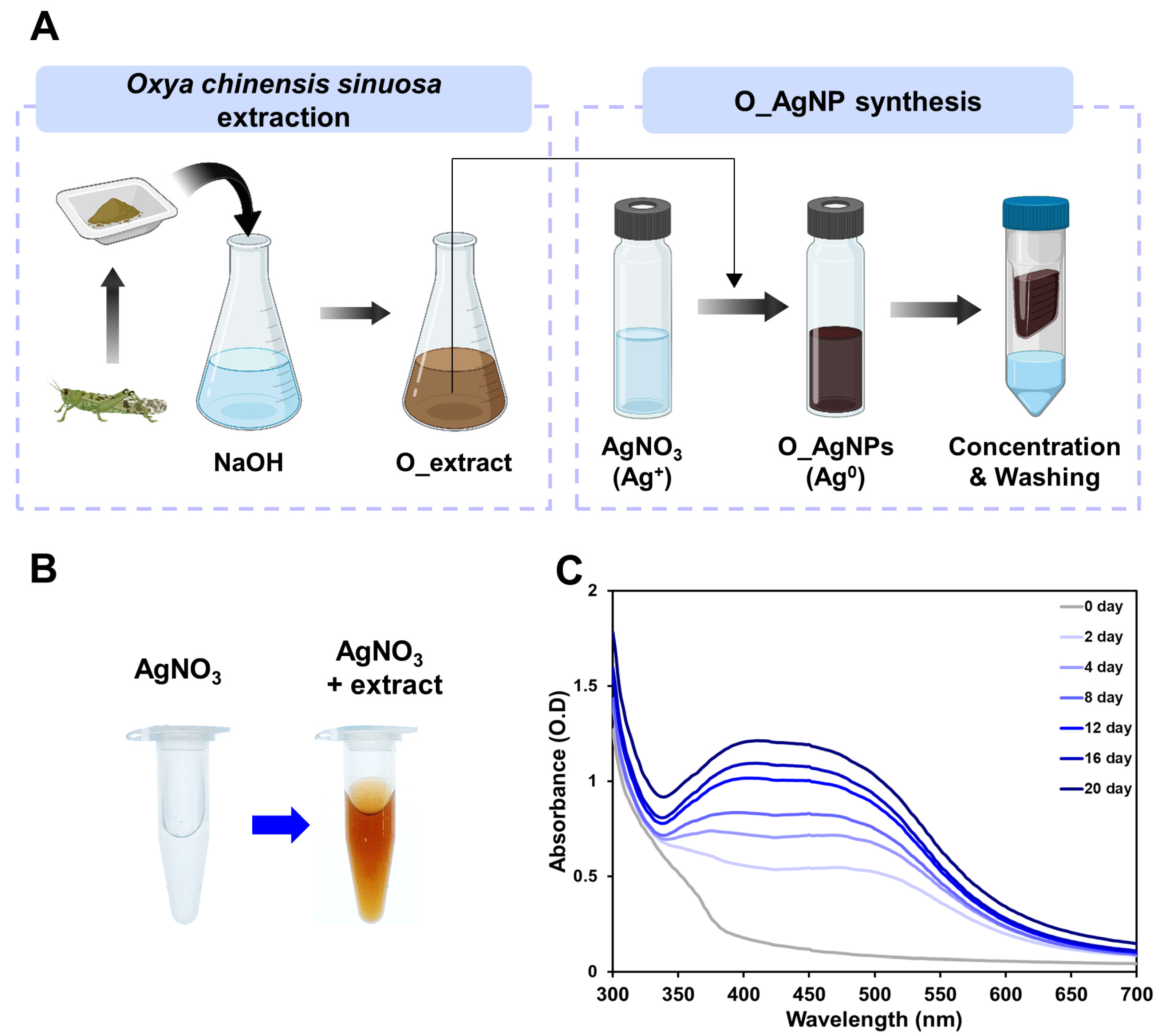 Microorganisms 12 02089 g001