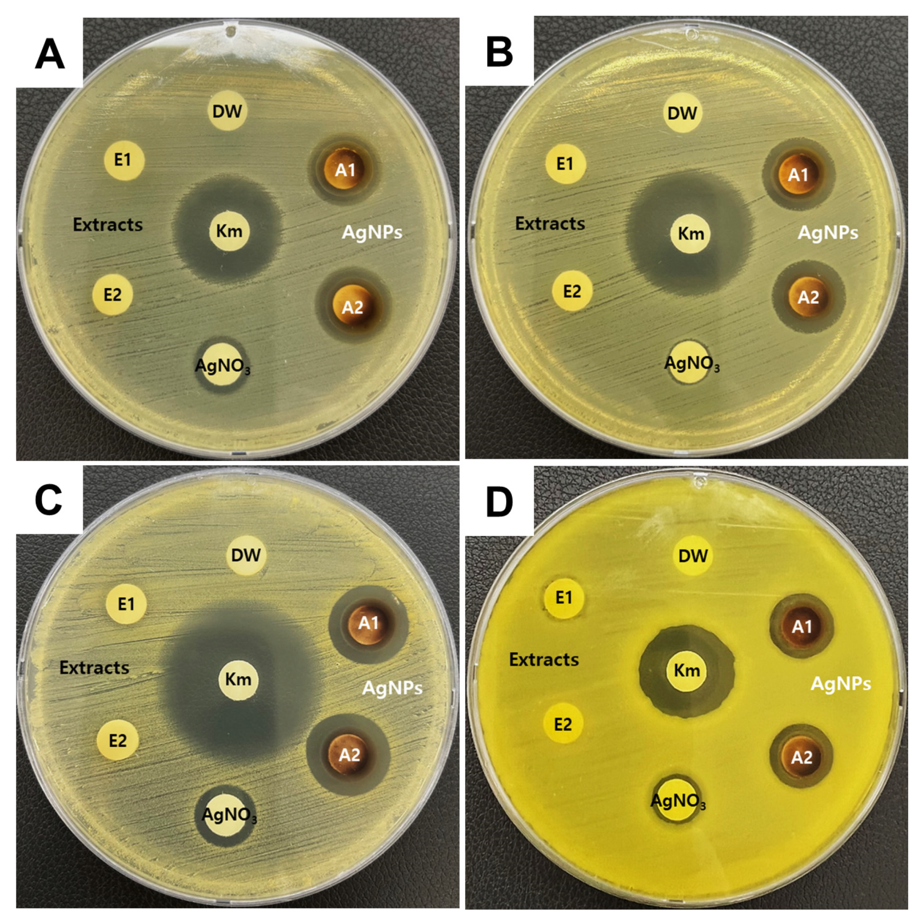 Microorganisms 12 02089 g004