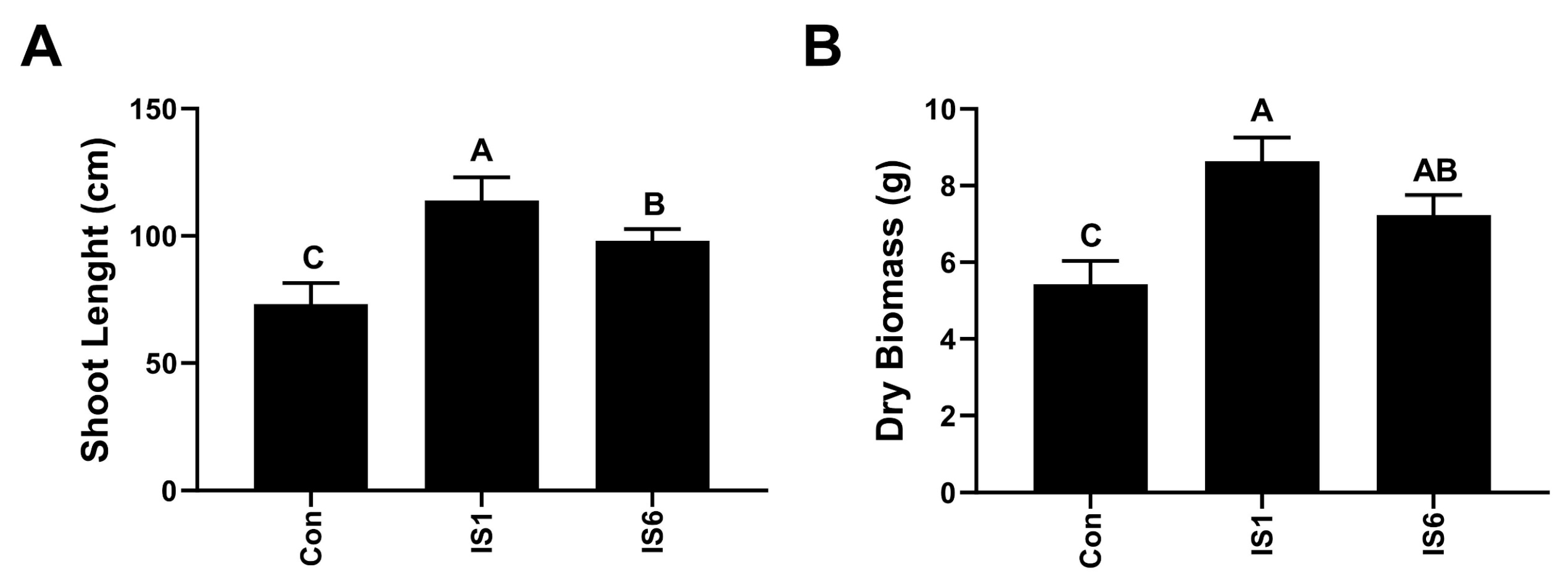 Microorganisms 12 02092 g001