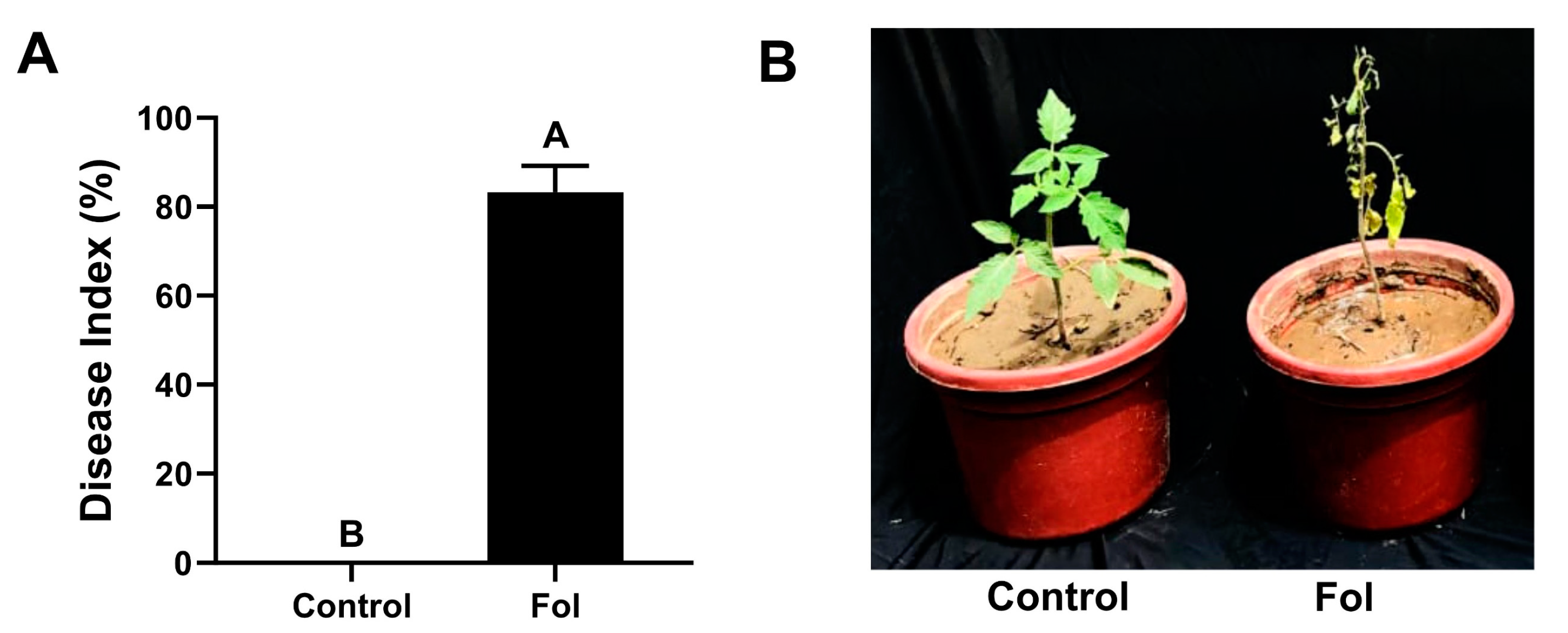 Microorganisms 12 02092 g003