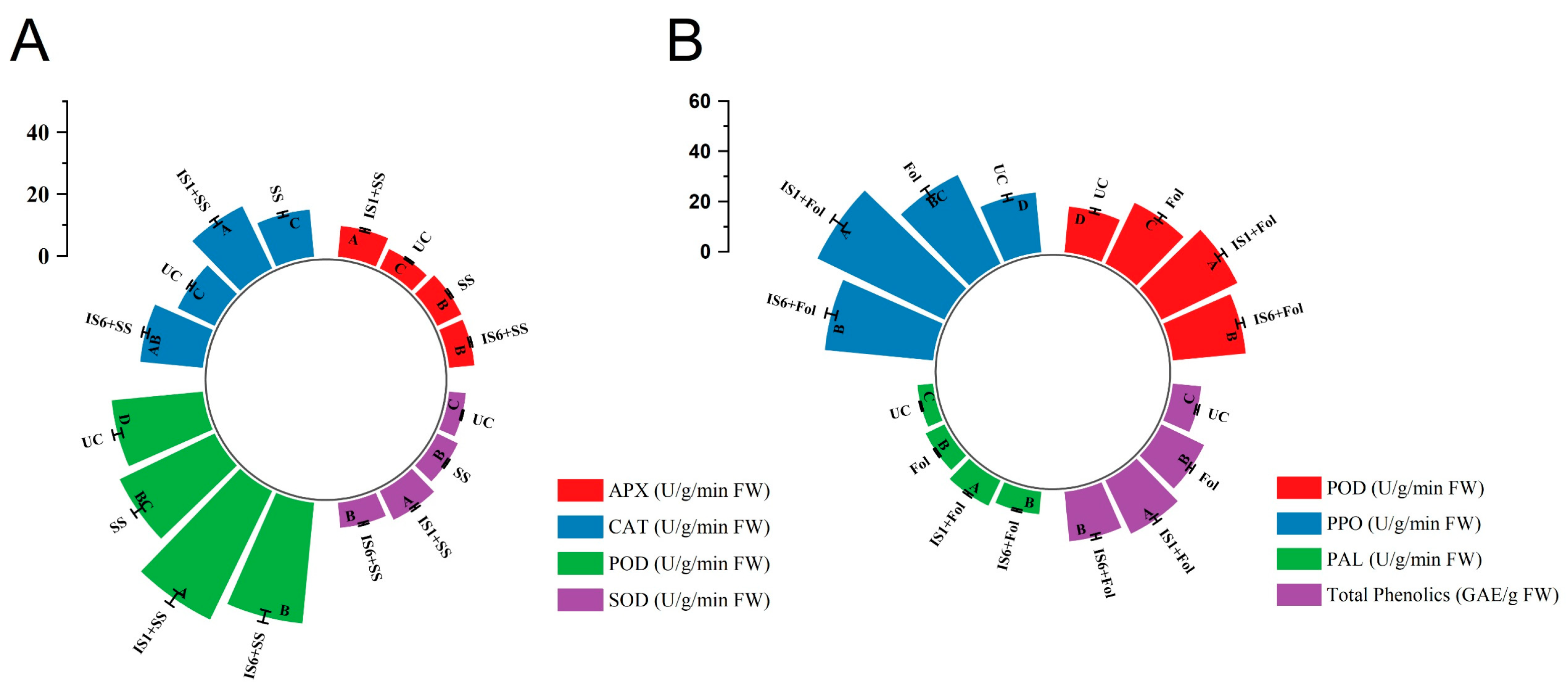 Microorganisms 12 02092 g006