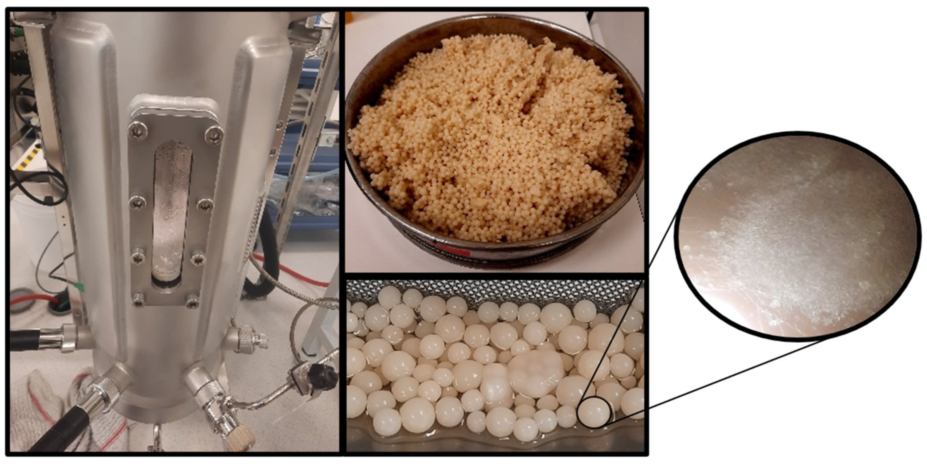 Microorganisms 12 02097 g004 Microorganisms 12 02097 g004