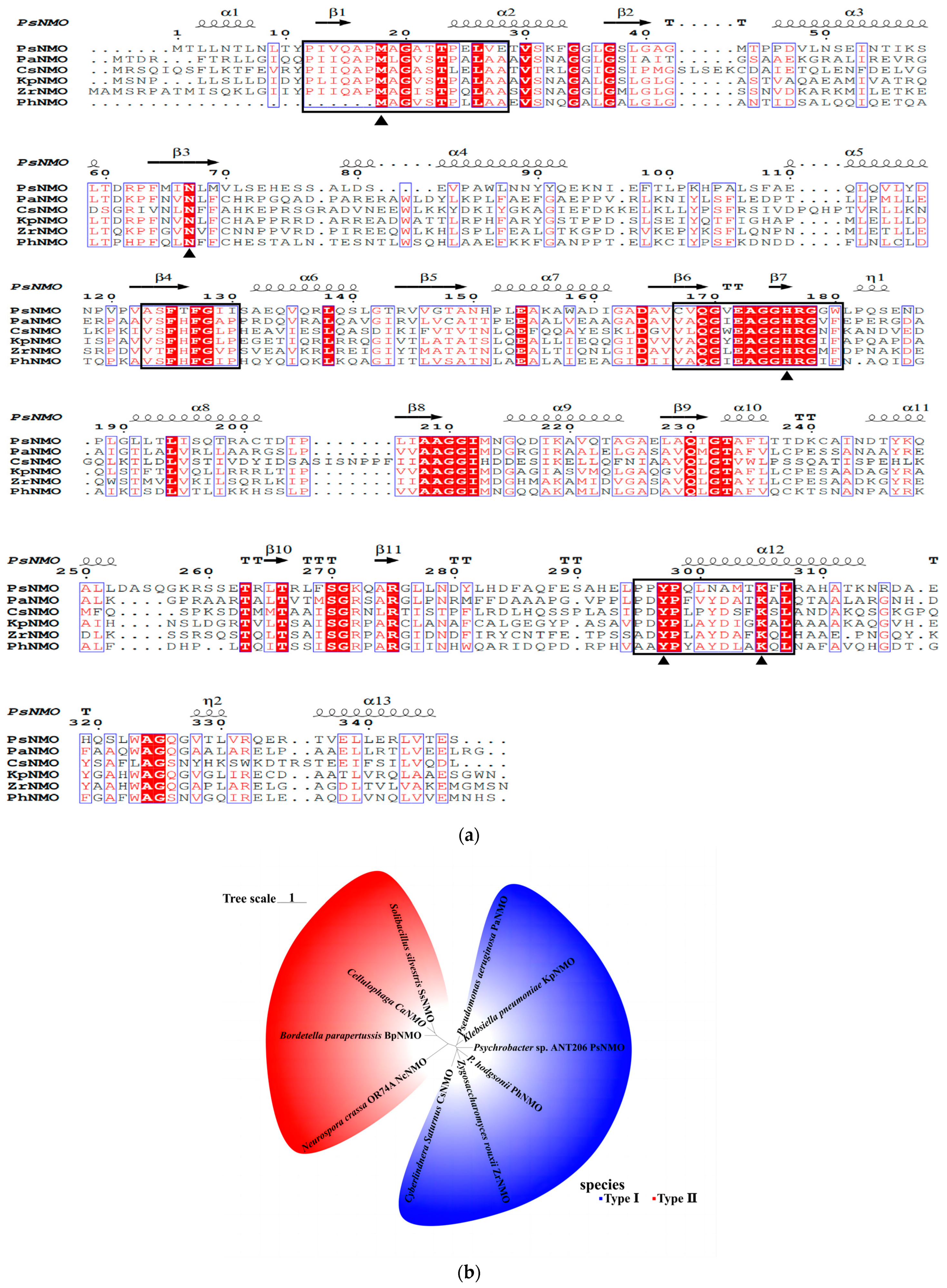 A Novel Cold-Adapted Nitronate Monooxygenase from