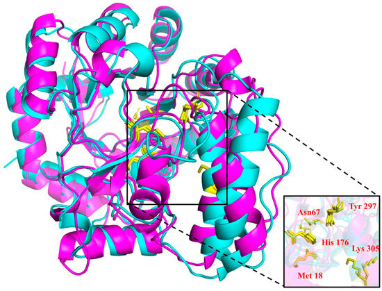 A Novel Cold-Adapted Nitronate Monooxygenase from A Novel Cold-Adapted Nitronate Monooxygenase from