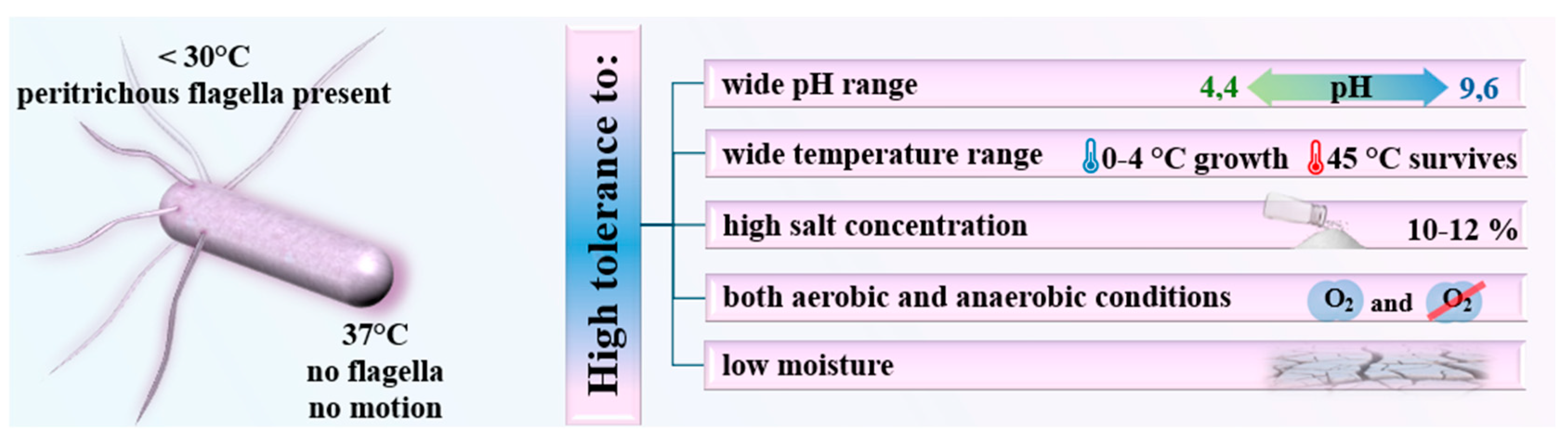 Microorganisms 12 02102 g001