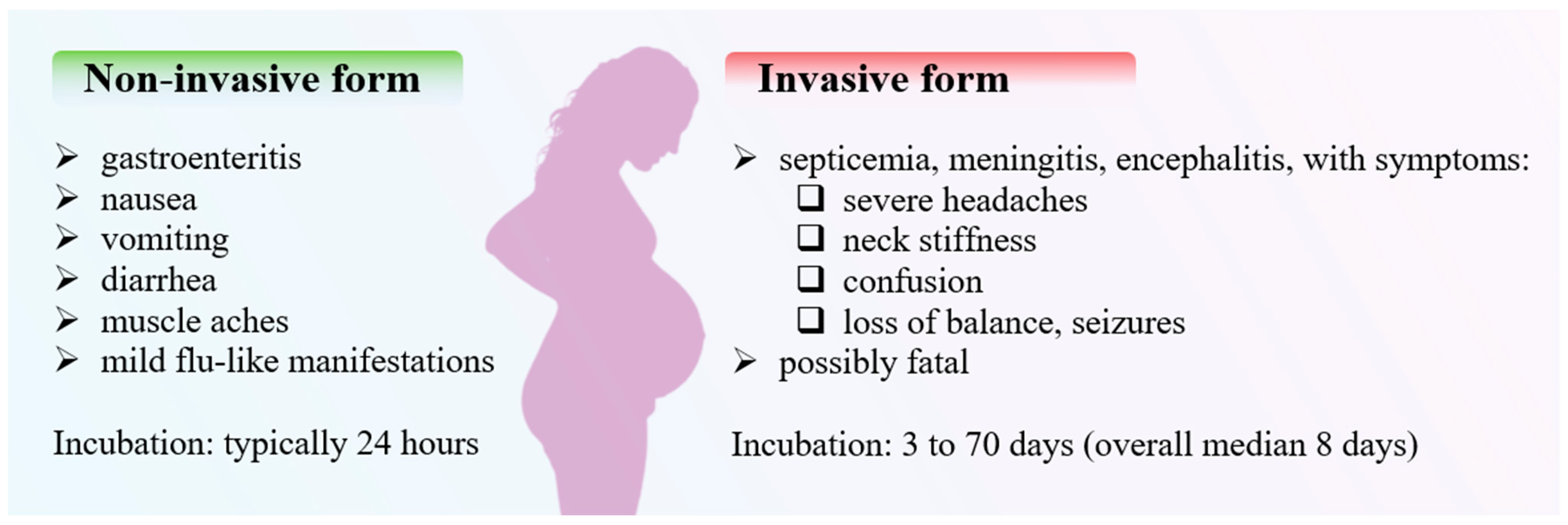 Microorganisms 12 02102 g004