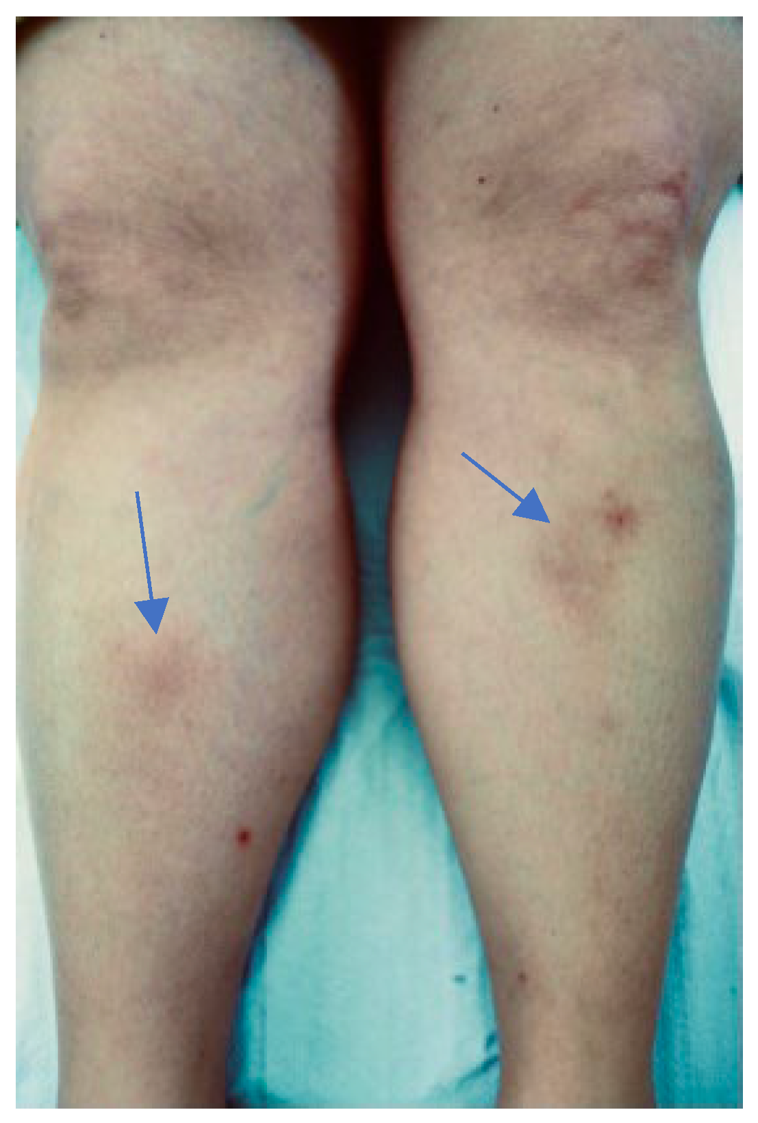 Microorganisms 12 02108 g001 Microorganisms 12 02108 g001