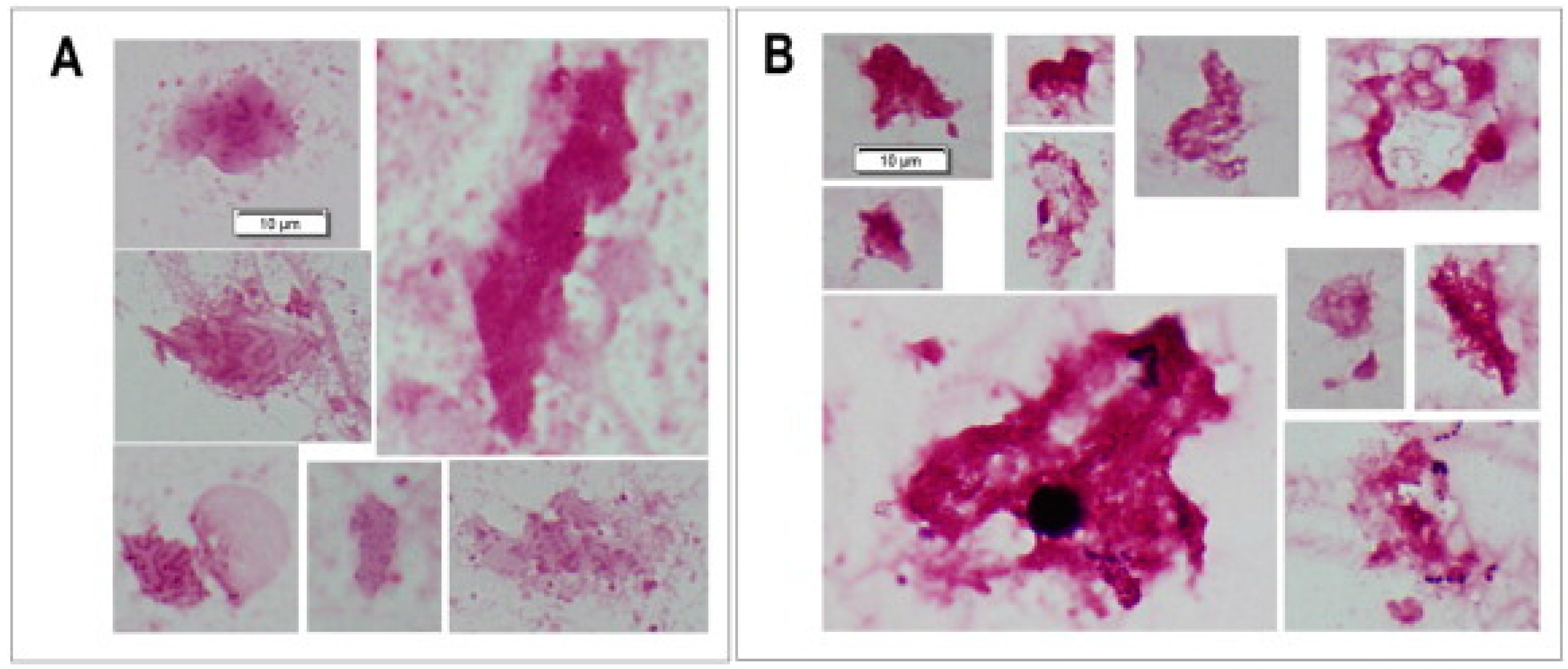 Microorganisms 12 02115 g002