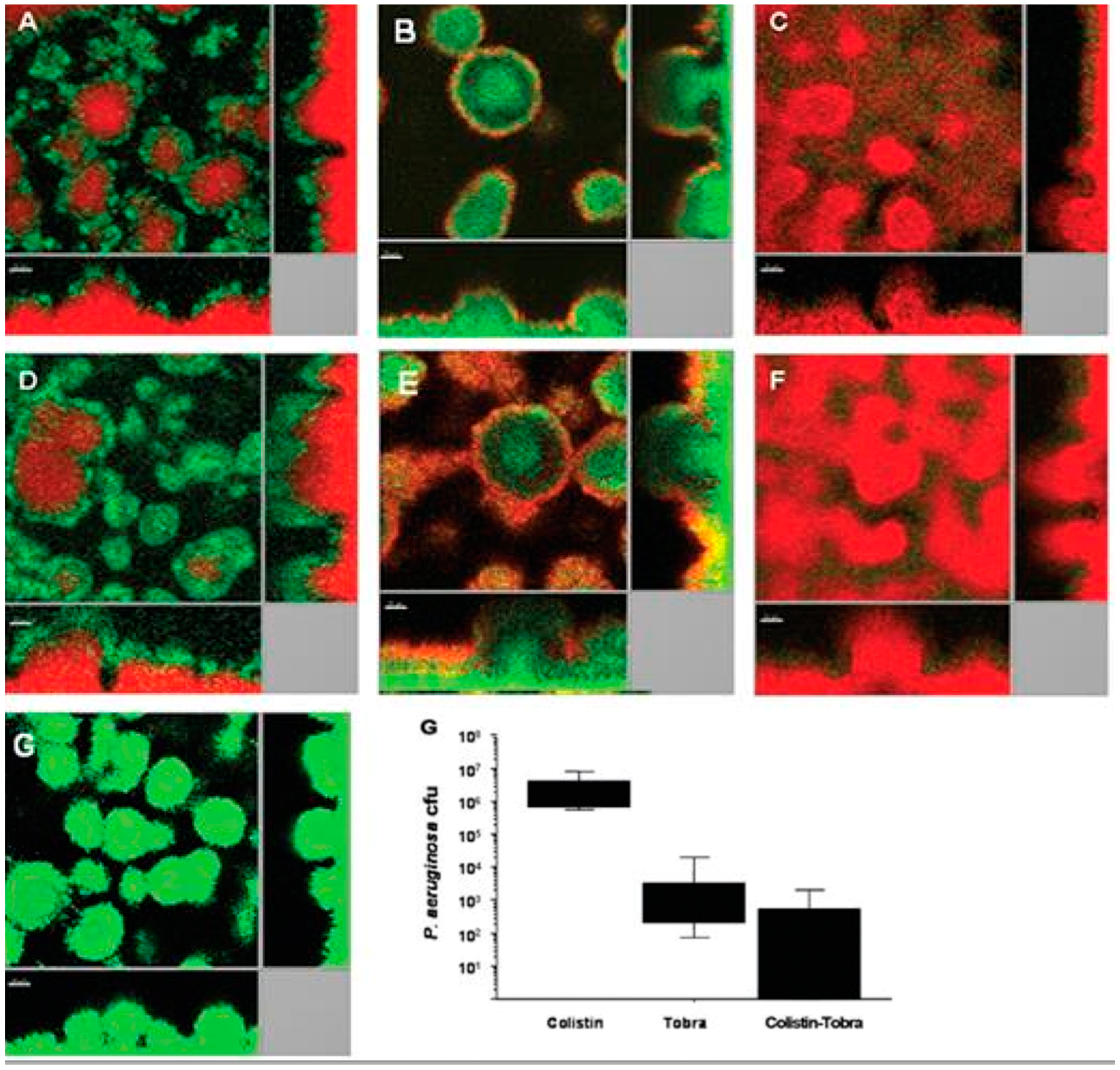 Microorganisms 12 02115 g004