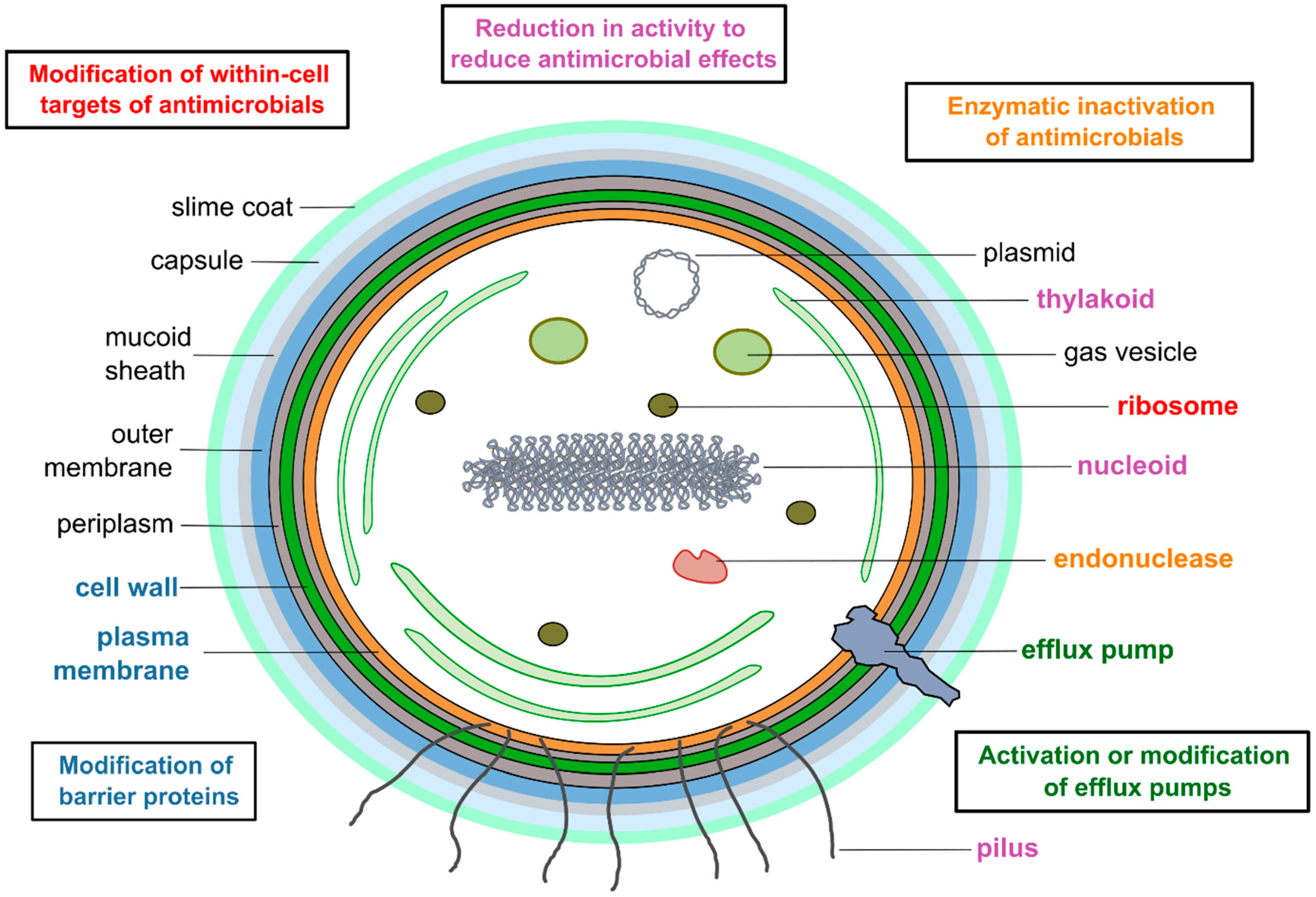 Microorganisms 12 02121 g001 Microorganisms 12 02121 g001