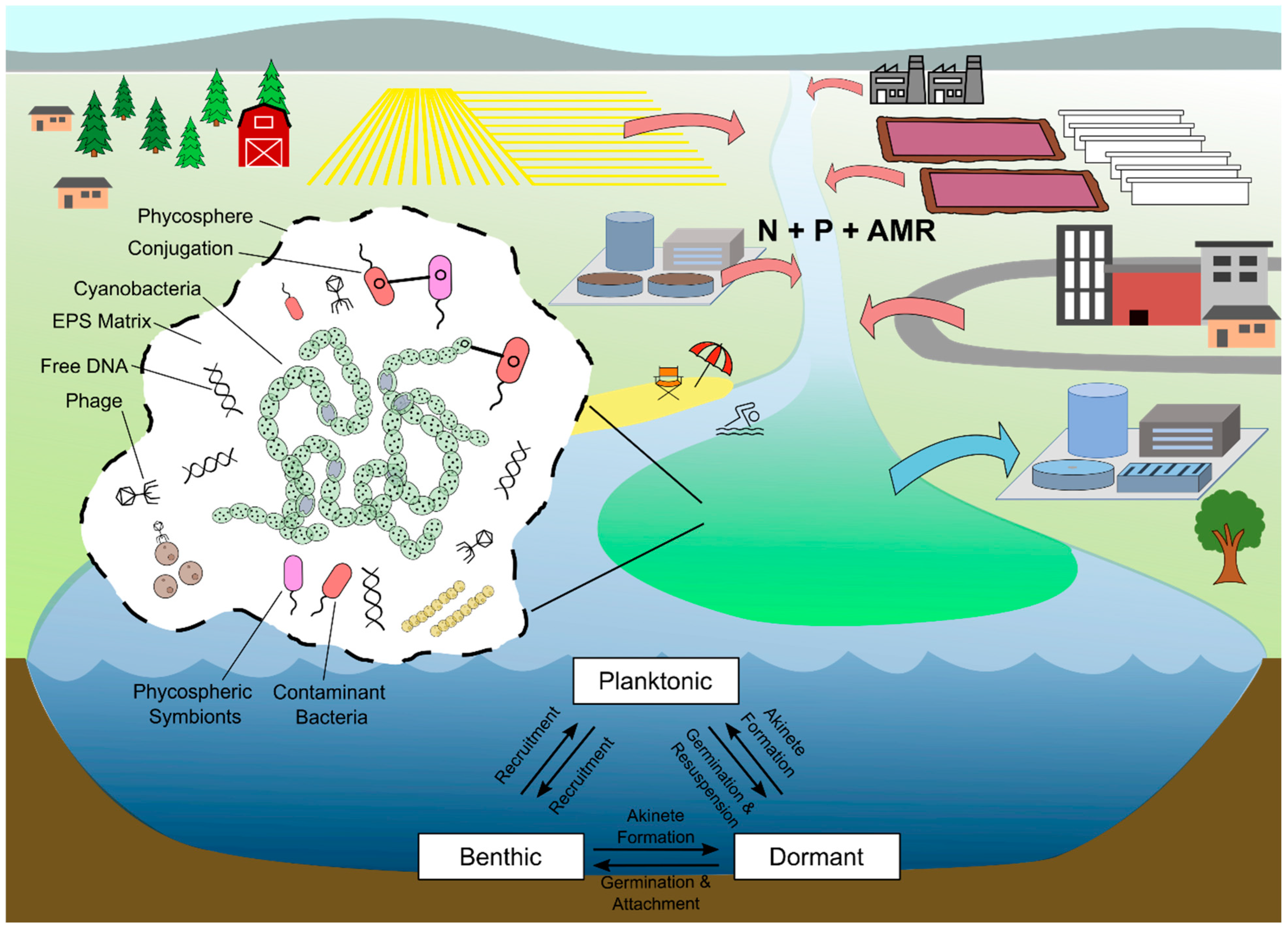 Microorganisms 12 02121 g002 Microorganisms 12 02121 g002