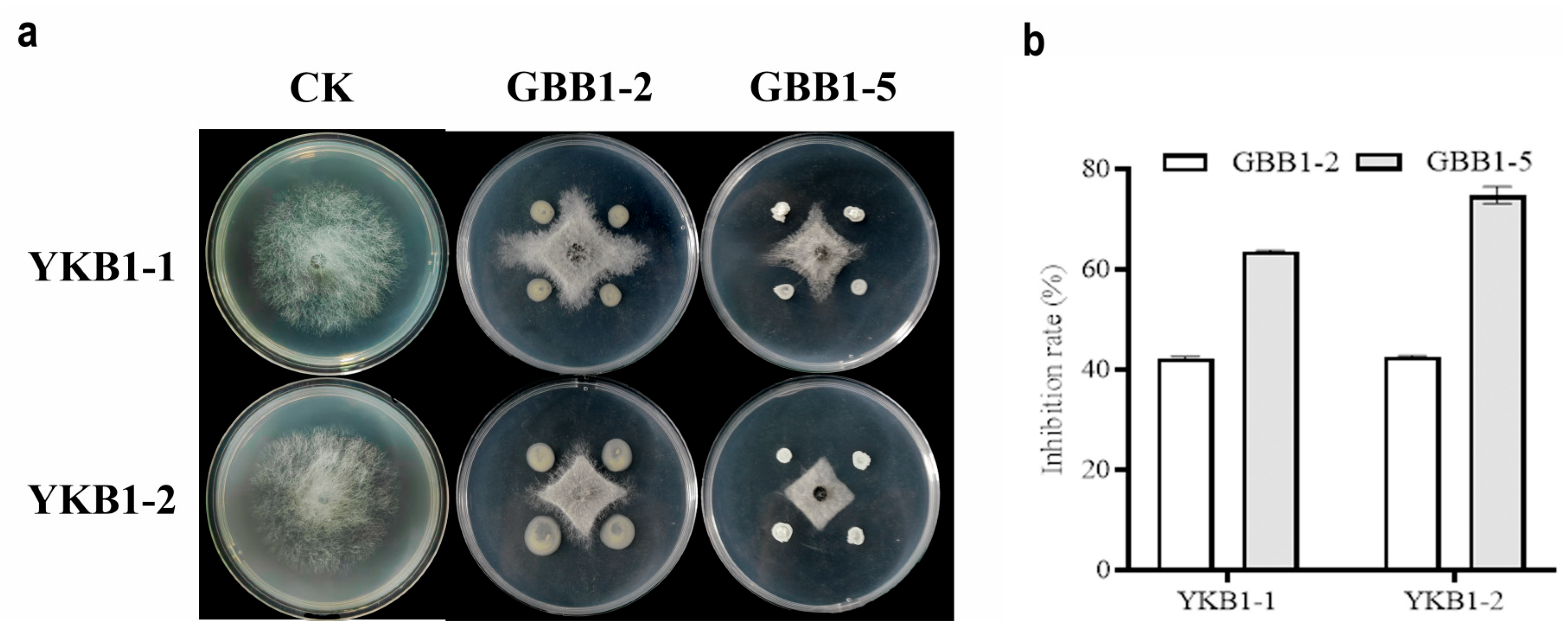 Microorganisms 12 02125 g006