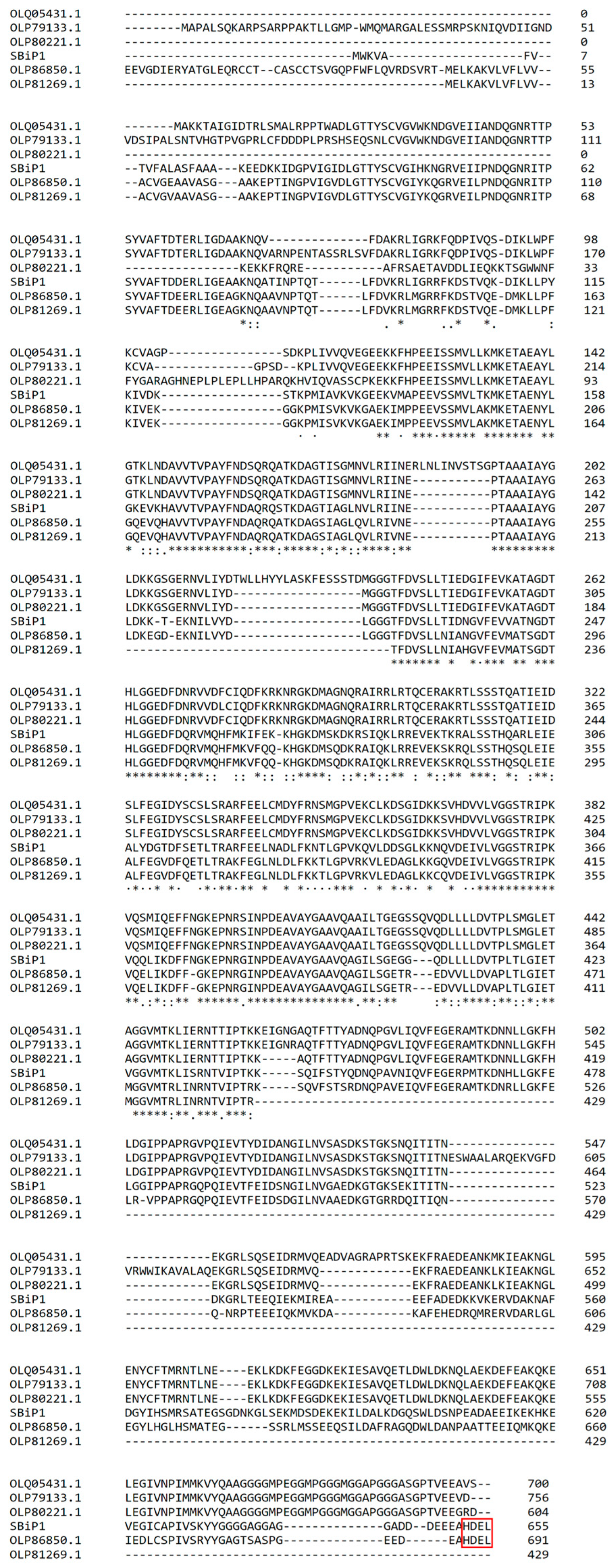 Microorganisms 12 02126 g001 Microorganisms 12 02126 g001