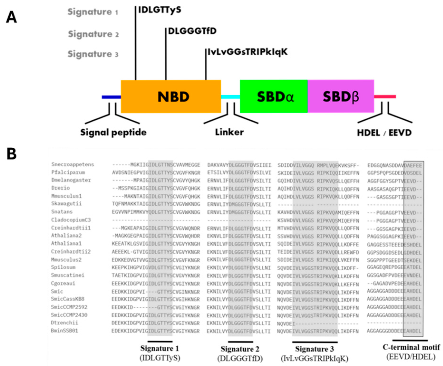 Microorganisms 12 02126 g002 Microorganisms 12 02126 g002