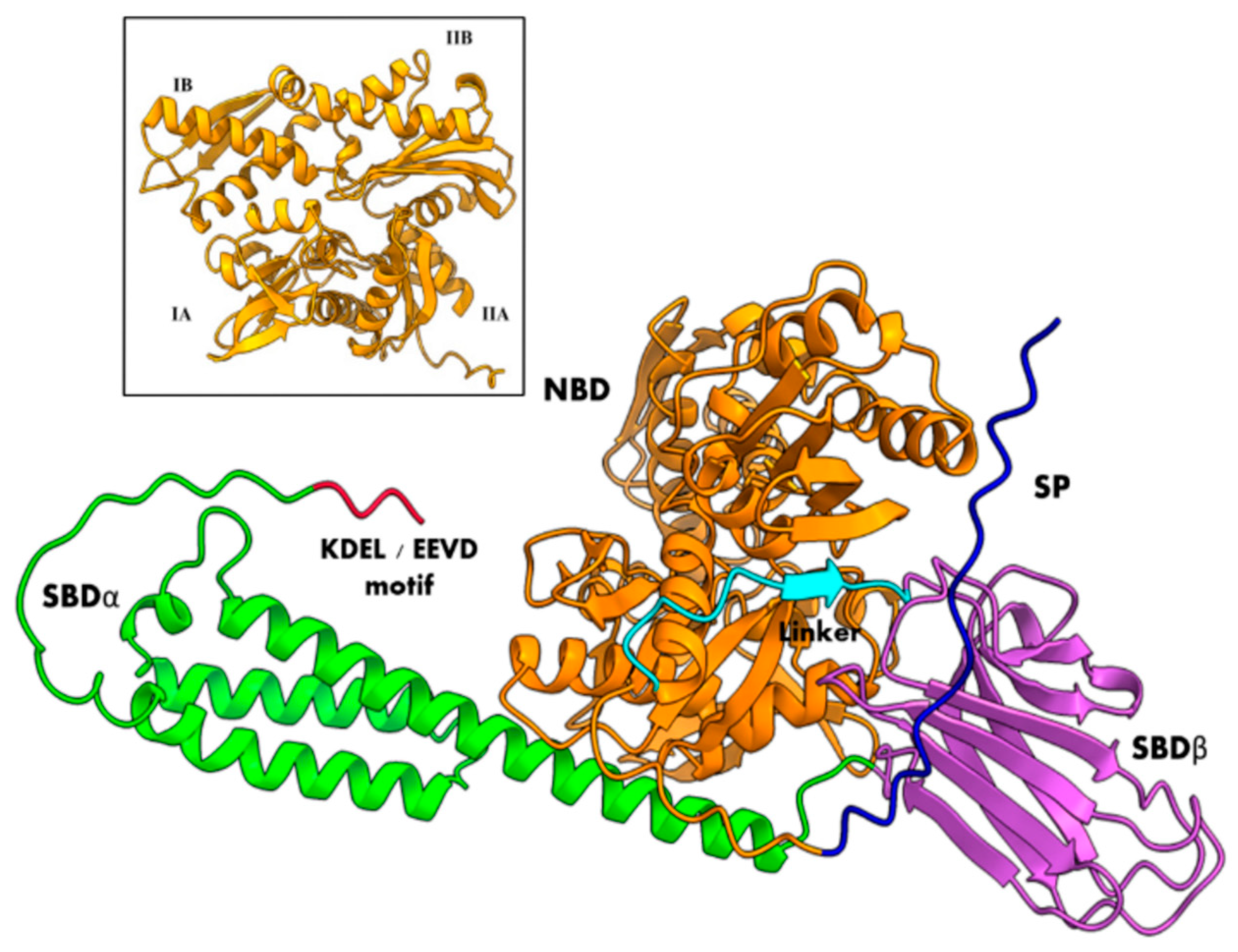 Microorganisms 12 02126 g003 Microorganisms 12 02126 g003