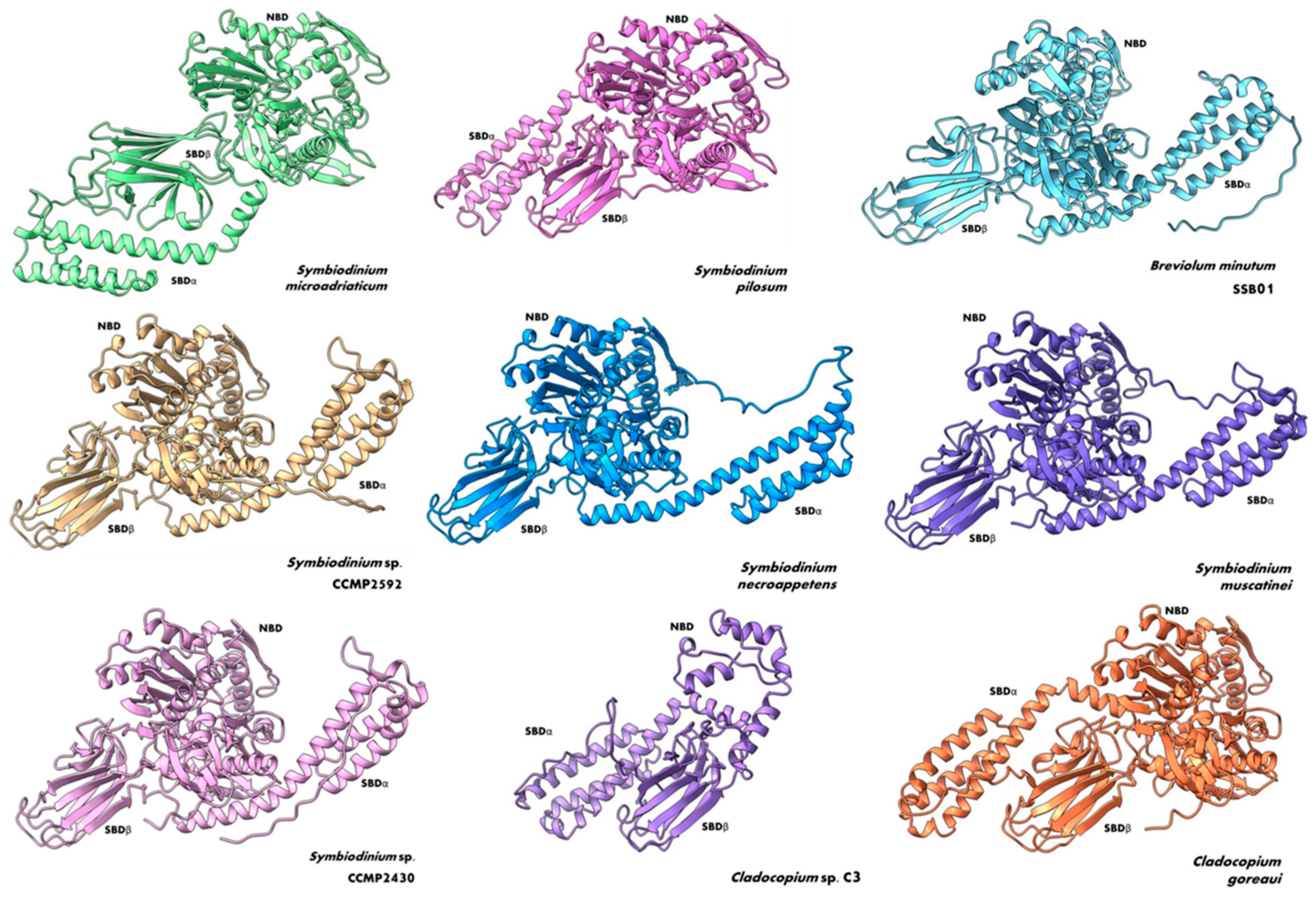 Microorganisms 12 02126 g004 Microorganisms 12 02126 g004