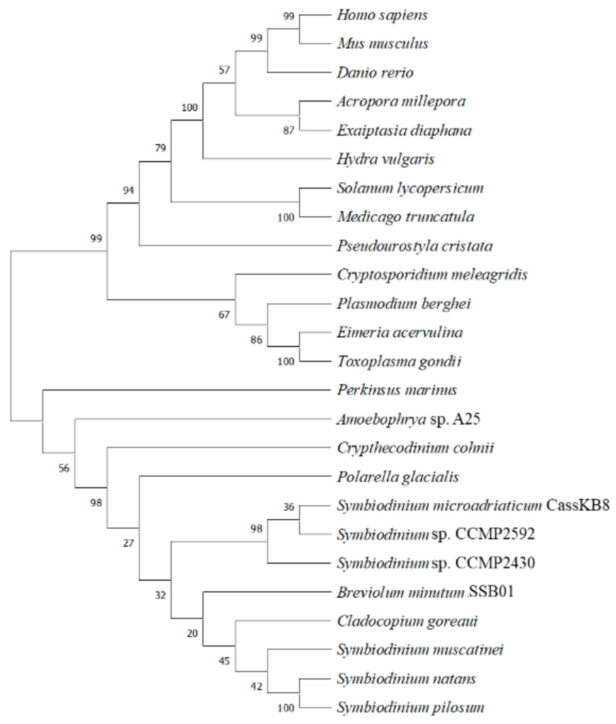 Microorganisms 12 02126 g005 Microorganisms 12 02126 g005