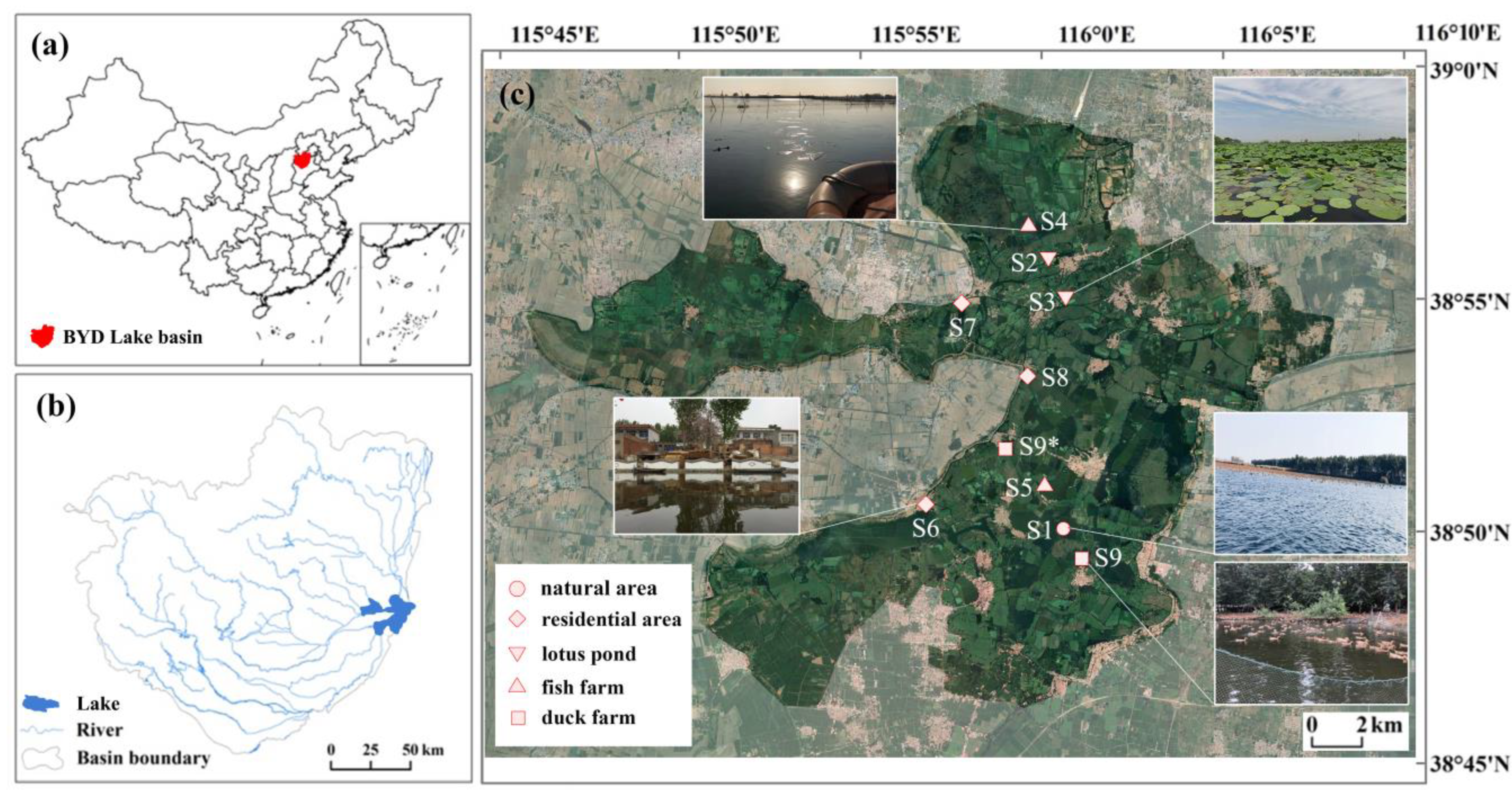 Microorganisms 12 02127 g001