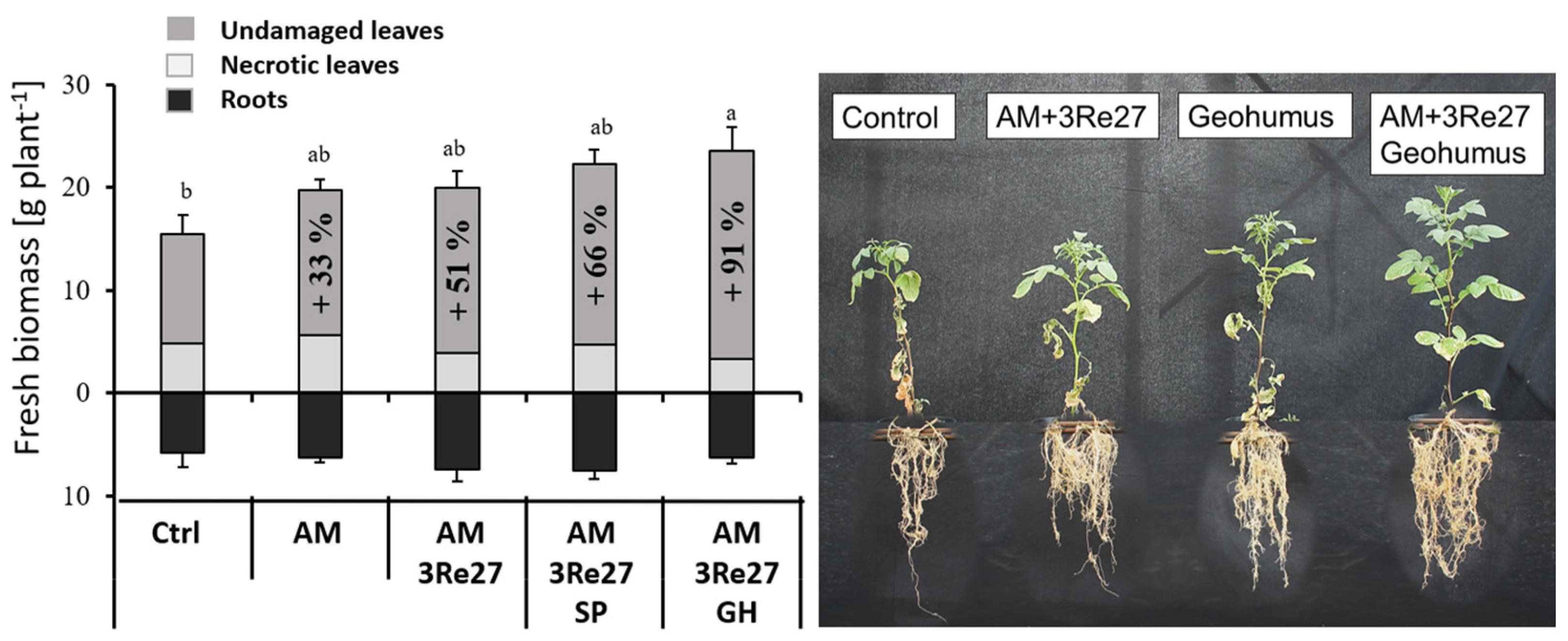 驚きの値段での商品をすべて Silicate-Based of Combination Soil Plant with Conditioners その他