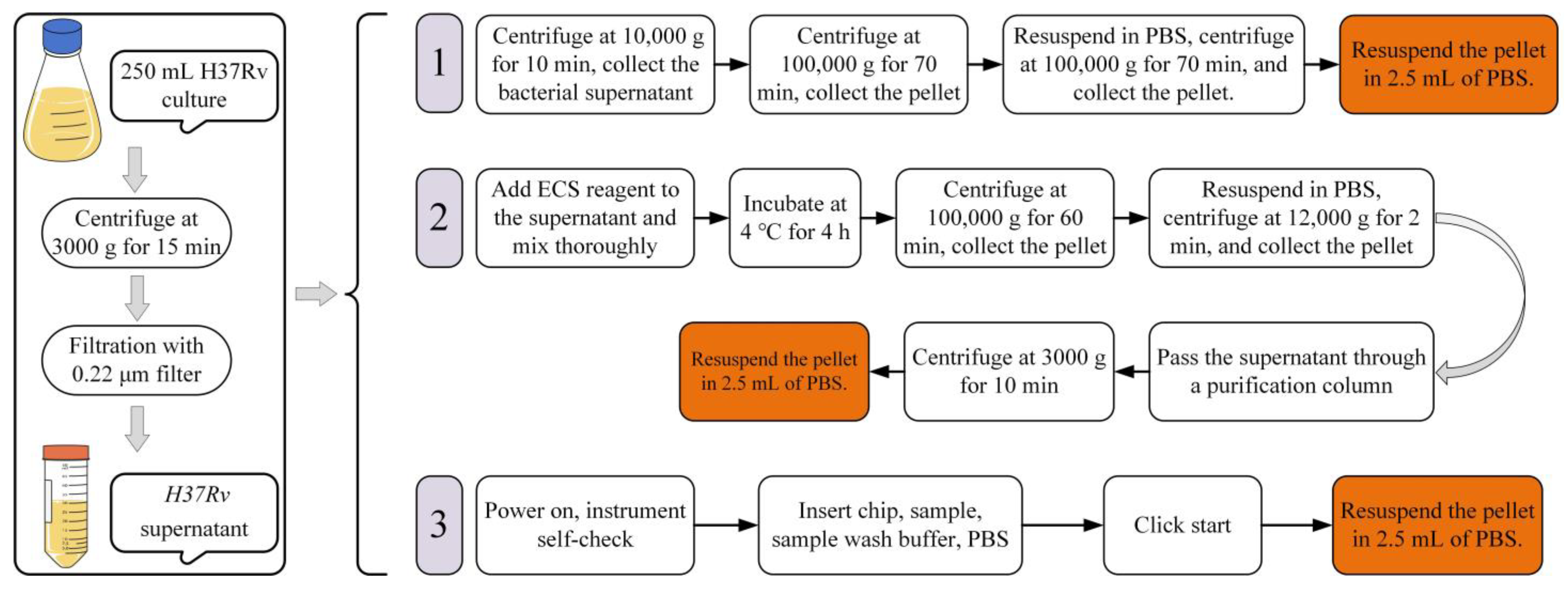 Microorganisms 12 02129 g001