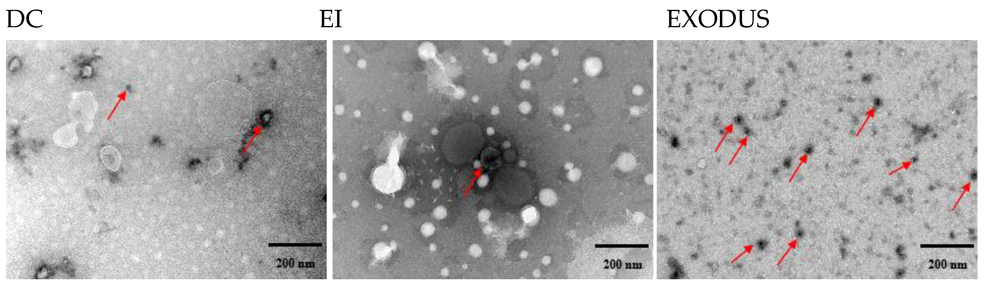 Microorganisms 12 02129 g002