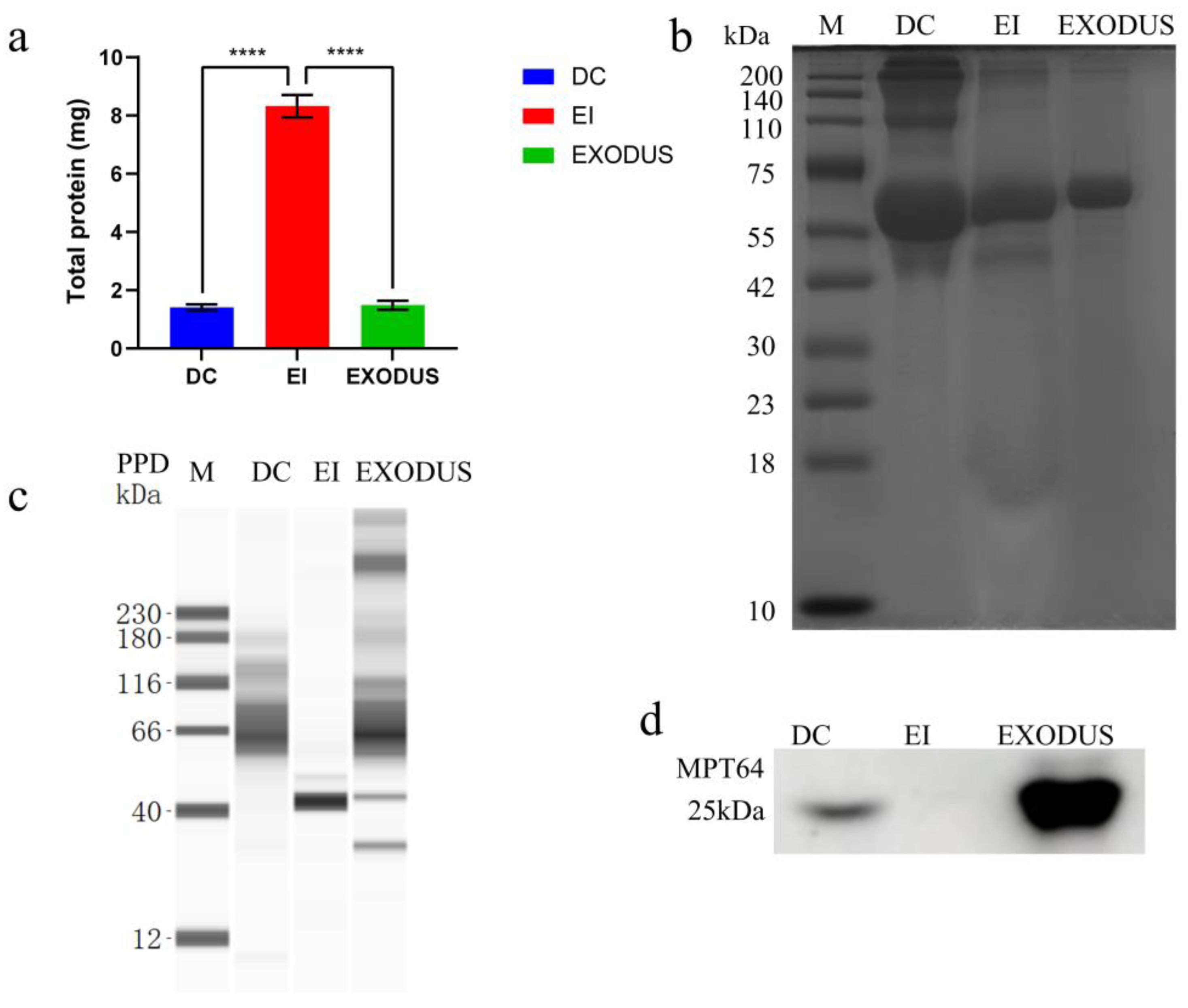 Microorganisms 12 02129 g003