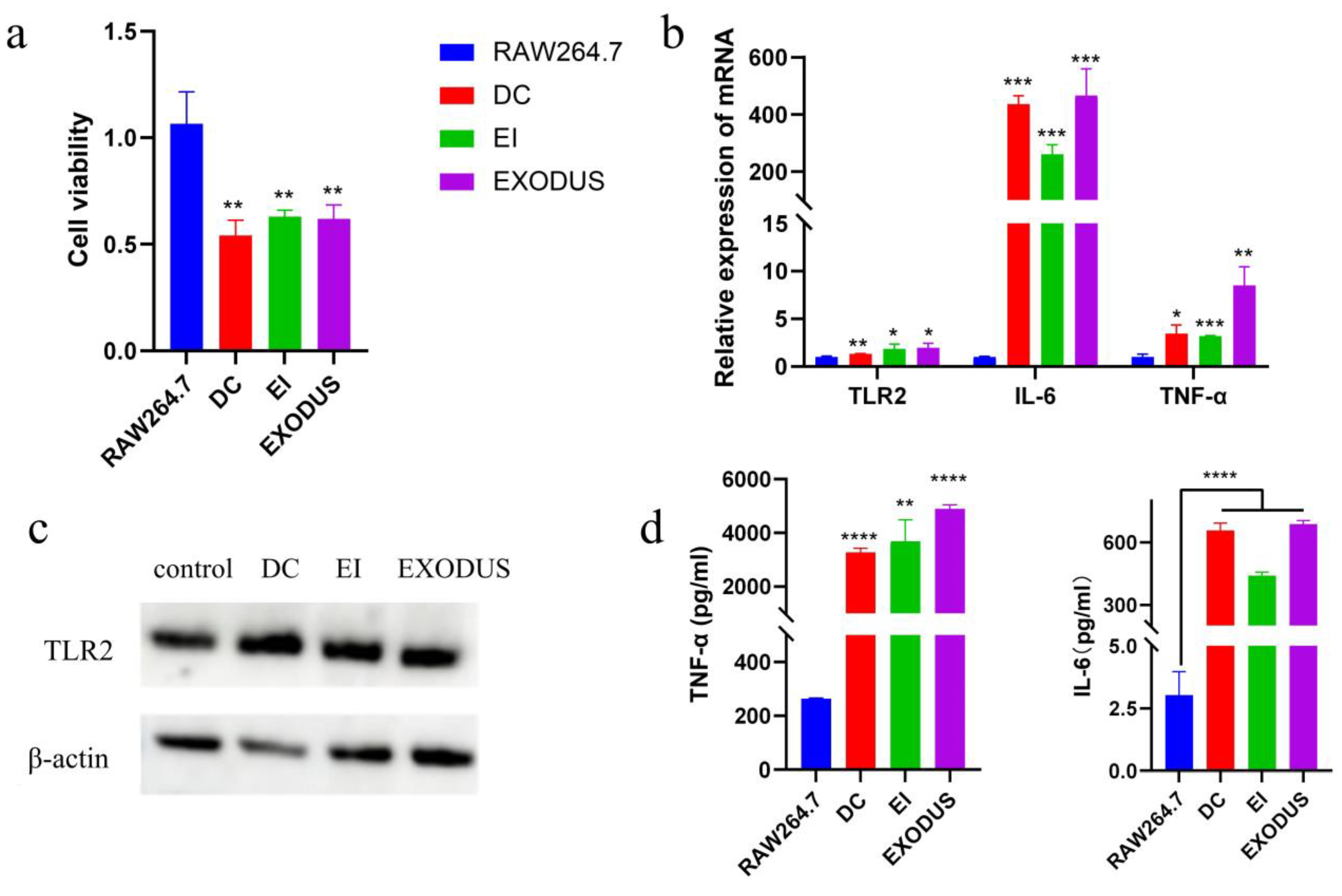 Microorganisms 12 02129 g005