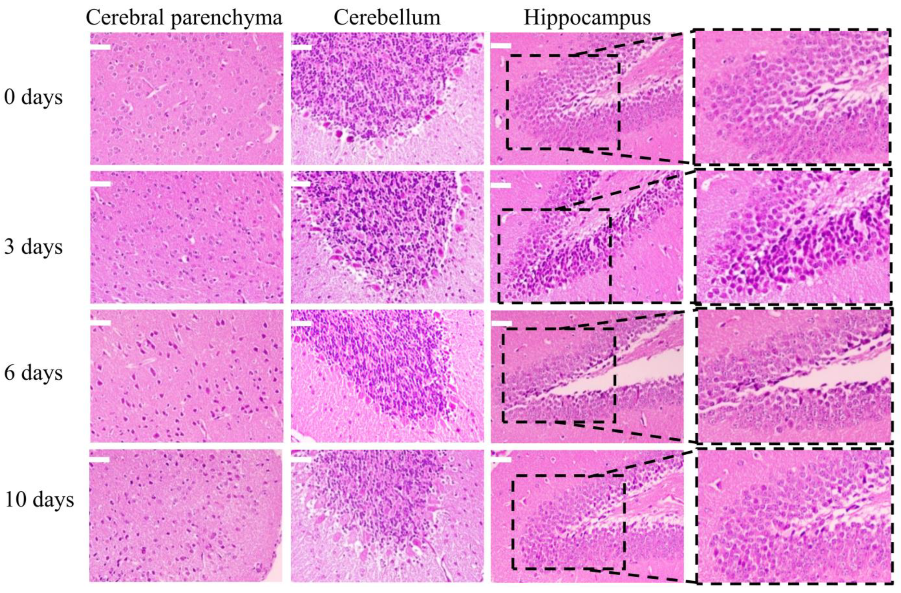 Microorganisms 12 02129 g006