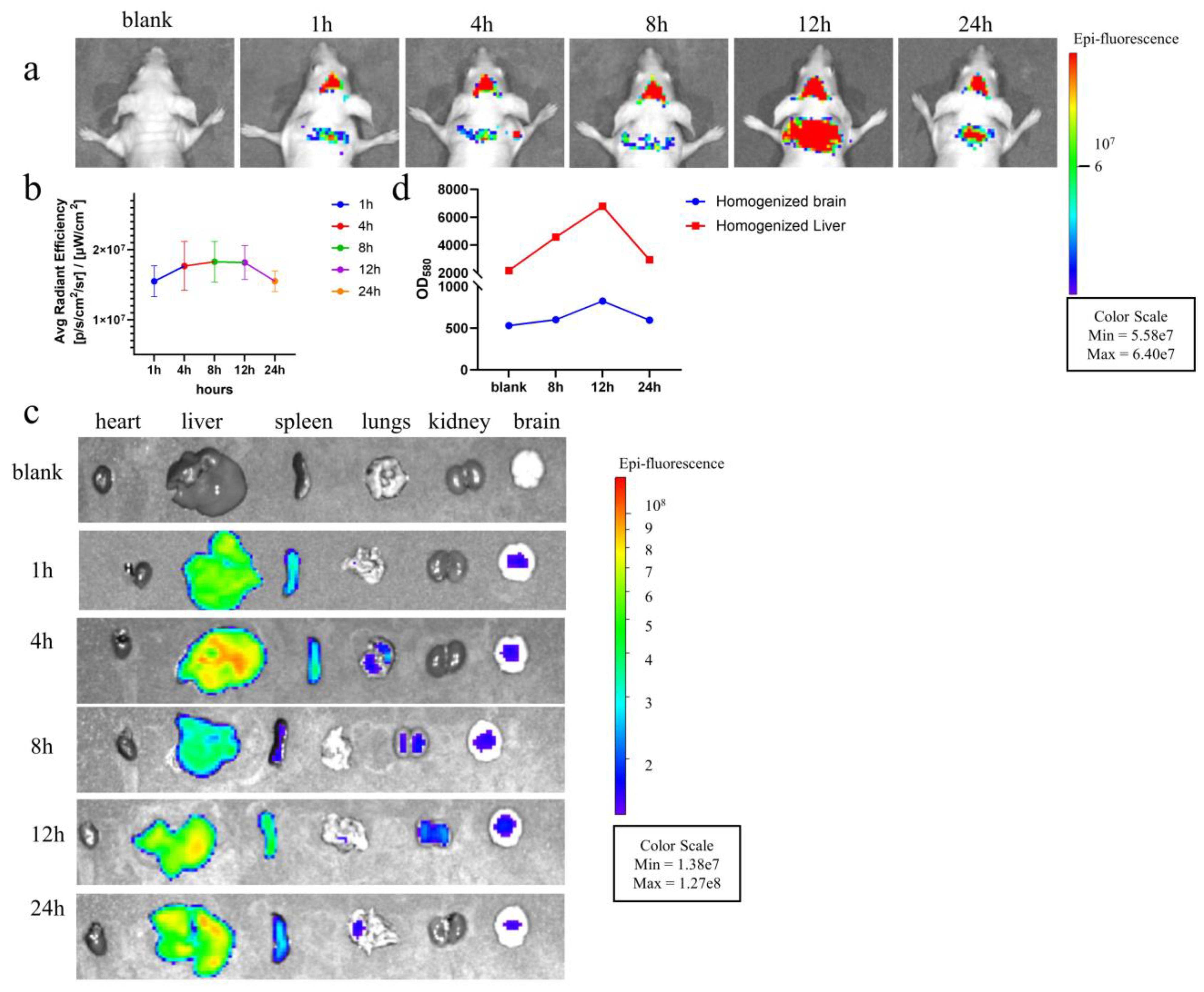 Microorganisms 12 02129 g007