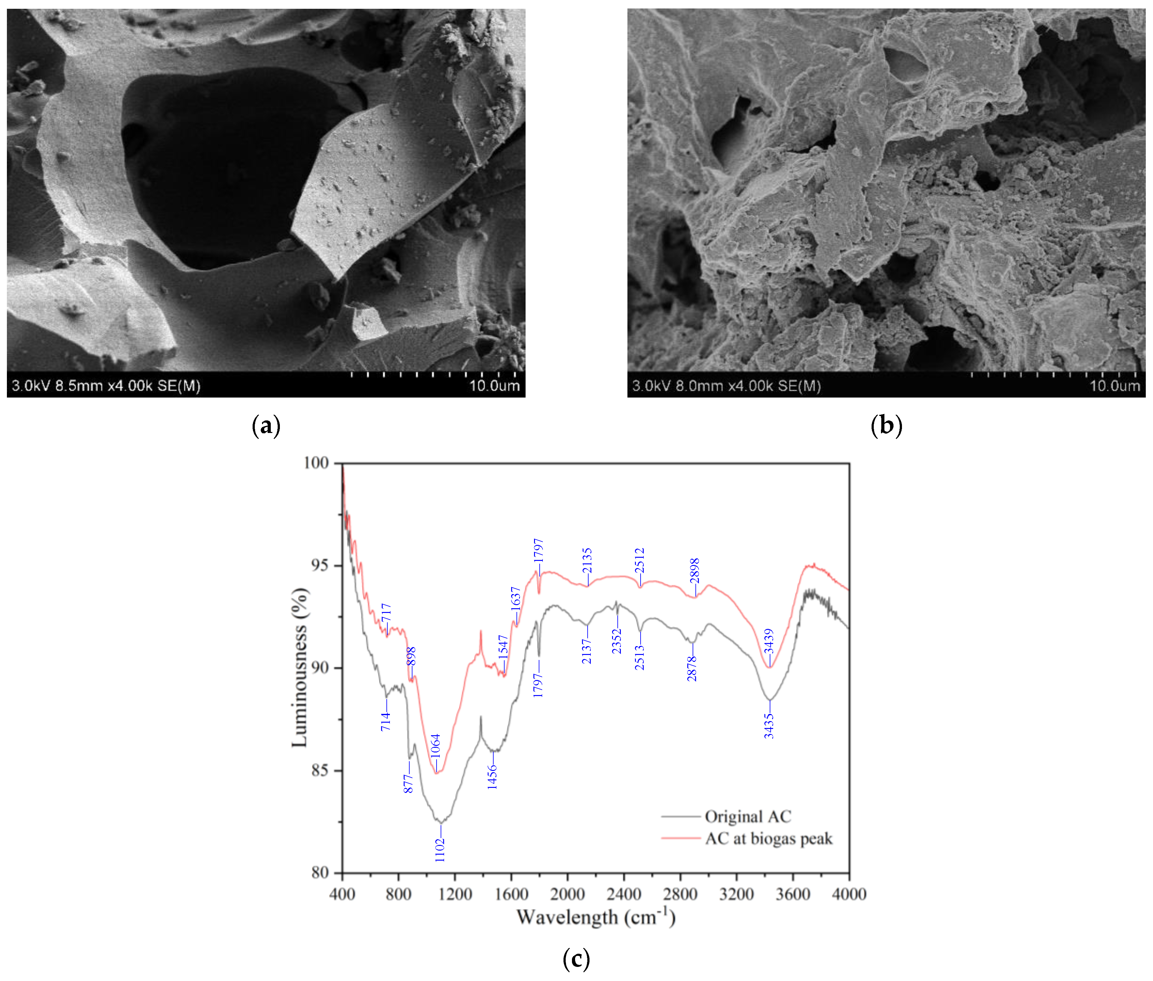 Microorganisms 12 02131 g002